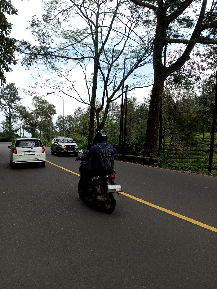 The image depicts a daytime outdoor scene on a paved, two-lane asphalt road with a solid yellow dividing line. A male individual, wearing a dark helmet, a dark long-sleeved shirt, and a dark backpack, rides a black motorcycle with the rear license plate 'B 6109 WAL' in the foreground, moving away from the camera in the right lane. Ahead of the motorcycle, also traveling in the same direction, are two cars: a white hatchback with the rear license plate 'F 1052 YA' and, further ahead, a dark grey SUV with a partially visible front license plate beginning with 'B'.
The road is bordered by dense trees and foliage on both sides. On the right side of the road, behind a low stone or concrete barrier, is a cultivated field arranged in distinct rows, consistent with a plantation, possibly tea. Tall trees with sparse foliage and prominent branches frame the upper portion of the image against an overcast sky. Utility poles and overhead lines are visible on the left side of the road, slightly set back among the trees. The background shows distant hills obscured by vegetation.
The scene is described as being in the city of Boommlog, Bhutan. However, the visible vehicle registration plates on the motorcycle and the white car ('B 6109 WAL' and 'F 1052 YA') are indicative of Indonesian vehicle registration formats, specifically from the Jakarta and West Java regions, which contradicts the provided Bhutanese location.
