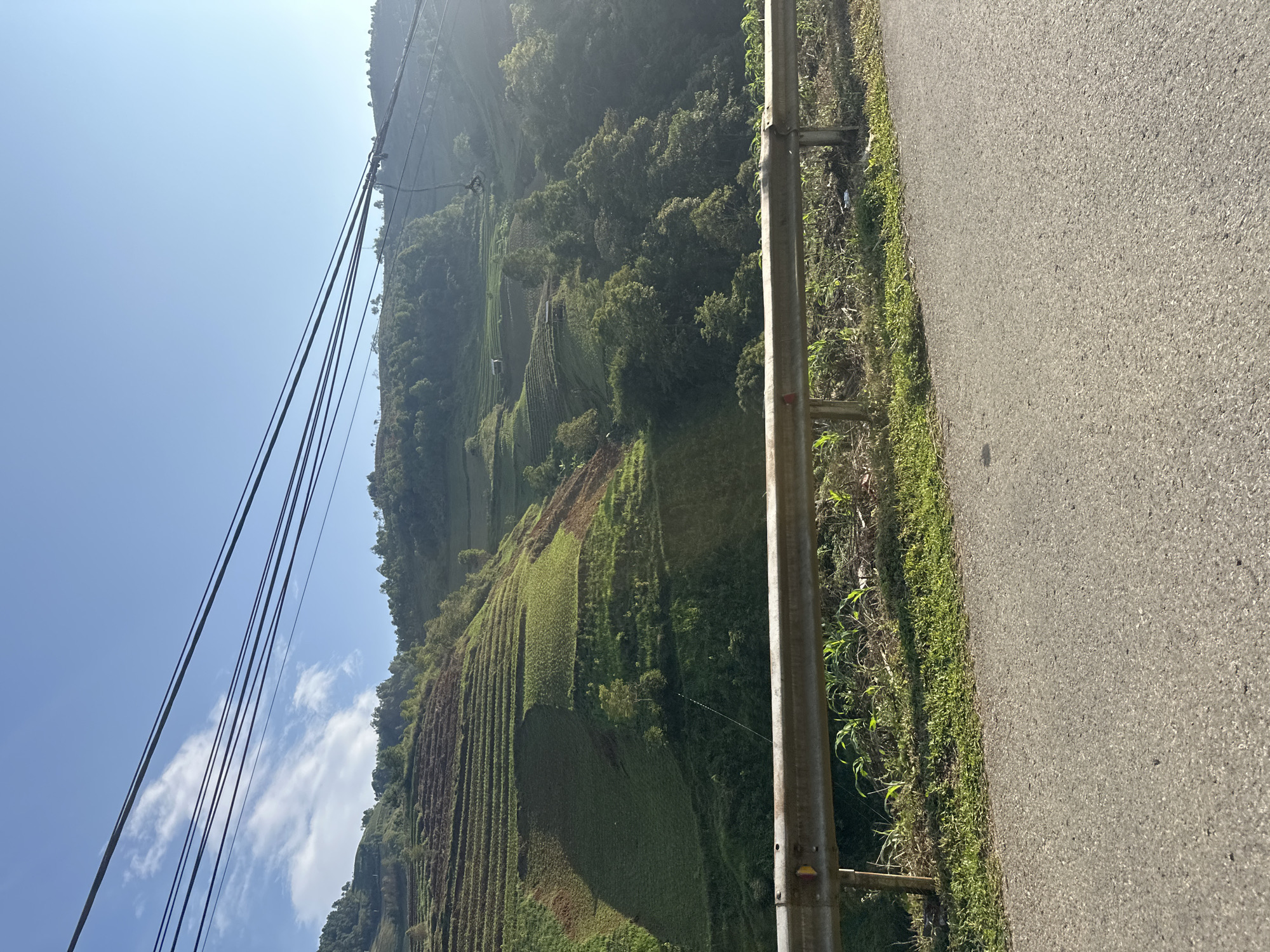 The image depicts a landscape in Lao Chai, Vietnam. A road with a metal guardrail runs along the right side of the frame. The left side of the image showcases a terraced hillside, with rows of green crops and some patches of brown soil. Patches of dense green foliage are interspersed with the terraced fields. Power lines stretch across the upper left portion of the frame, against a light blue sky with scattered clouds. The scene is bathed in sunlight.