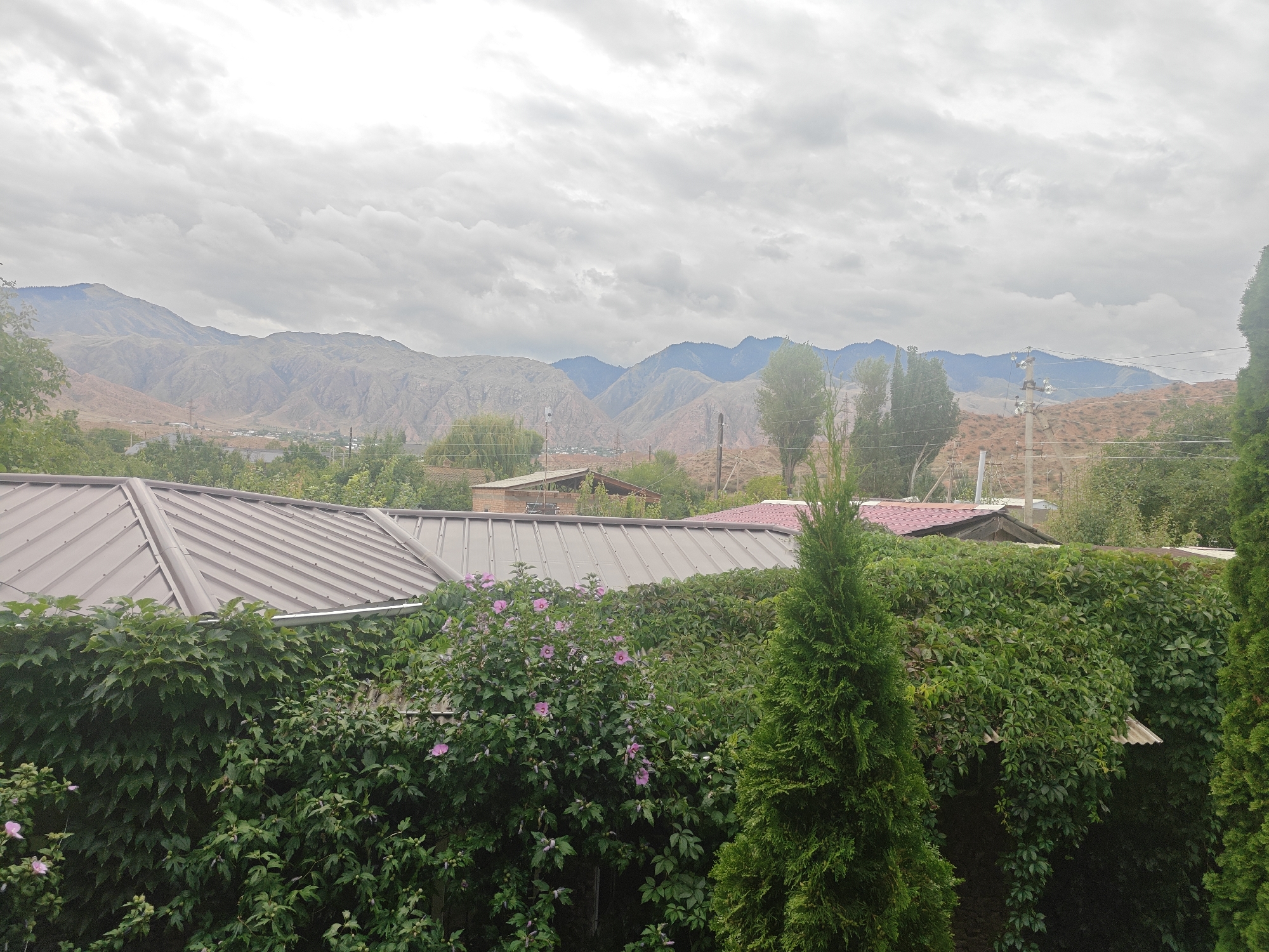 The image is an outdoor, medium-distance shot of a residential area with mountains in the background. The foreground is dominated by dense green foliage, including a tall evergreen tree on the right and a bush with pink flowers in the center. A metal-roofed structure, likely a house or shed, is visible behind the greenery. In the middle ground, more buildings with various roofing materials are scattered amongst trees. The background features layered, arid mountains under a cloudy, overcast sky. The scene appears to be in Каджи-Сай 2, Kyrgyzstan. There are no people visible in the image.