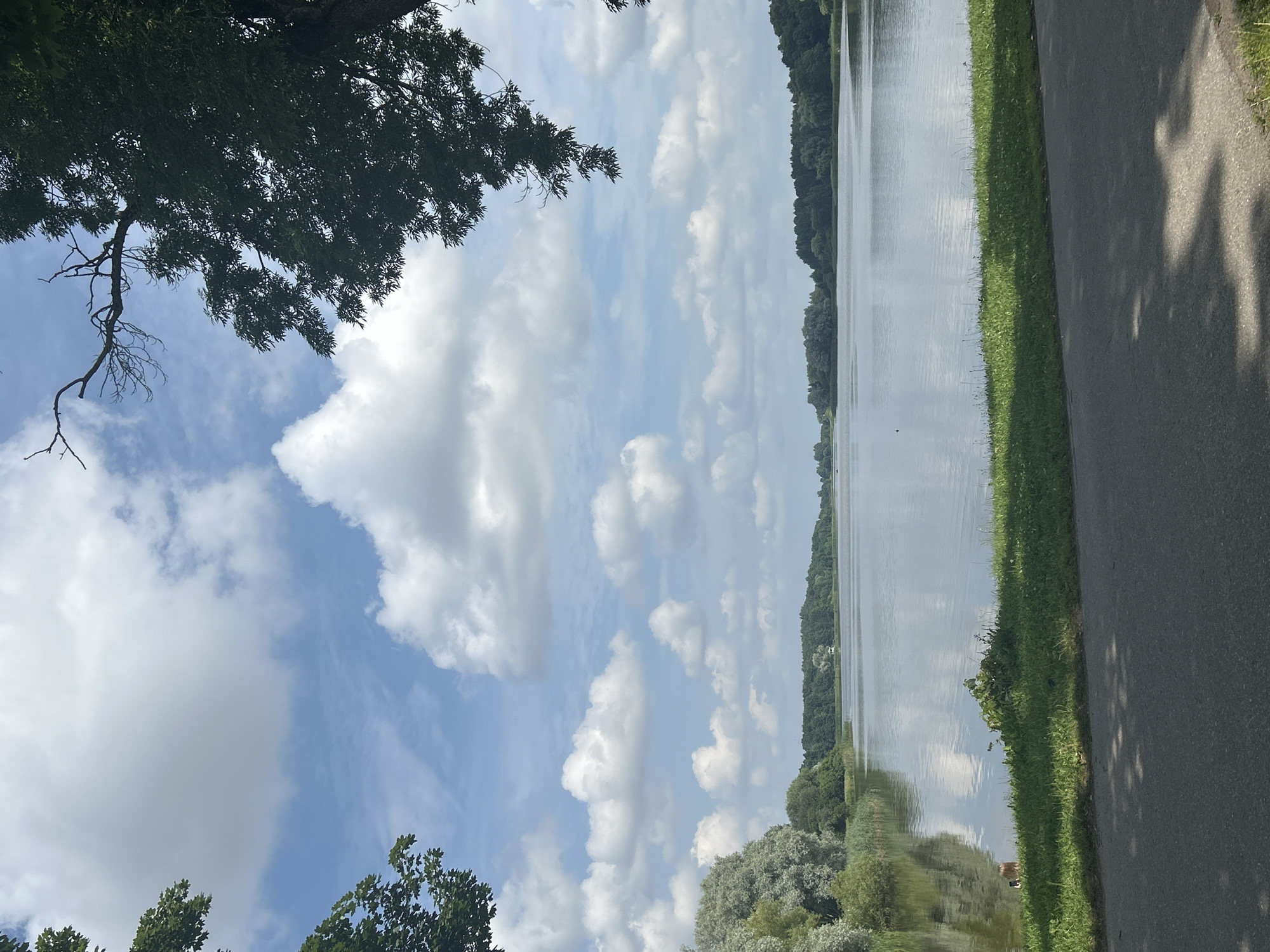 This is a landscape photograph of a wide, calm lake in Niasvizh, Belarus, on a bright, partly cloudy day. The foreground features a paved pathway with dappled shadows from overhead trees, bordered by a strip of vibrant green grass. On the left side of the lake, a person with light-colored hair is partially submerged in the water, near the grassy bank. The lake stretches towards a distant, tree-lined shore that encircles the water body. The sky is a brilliant blue, dotted with fluffy white cumulus clouds. The overall scene evokes a sense of tranquility and natural beauty, likely a popular recreational spot in the city.