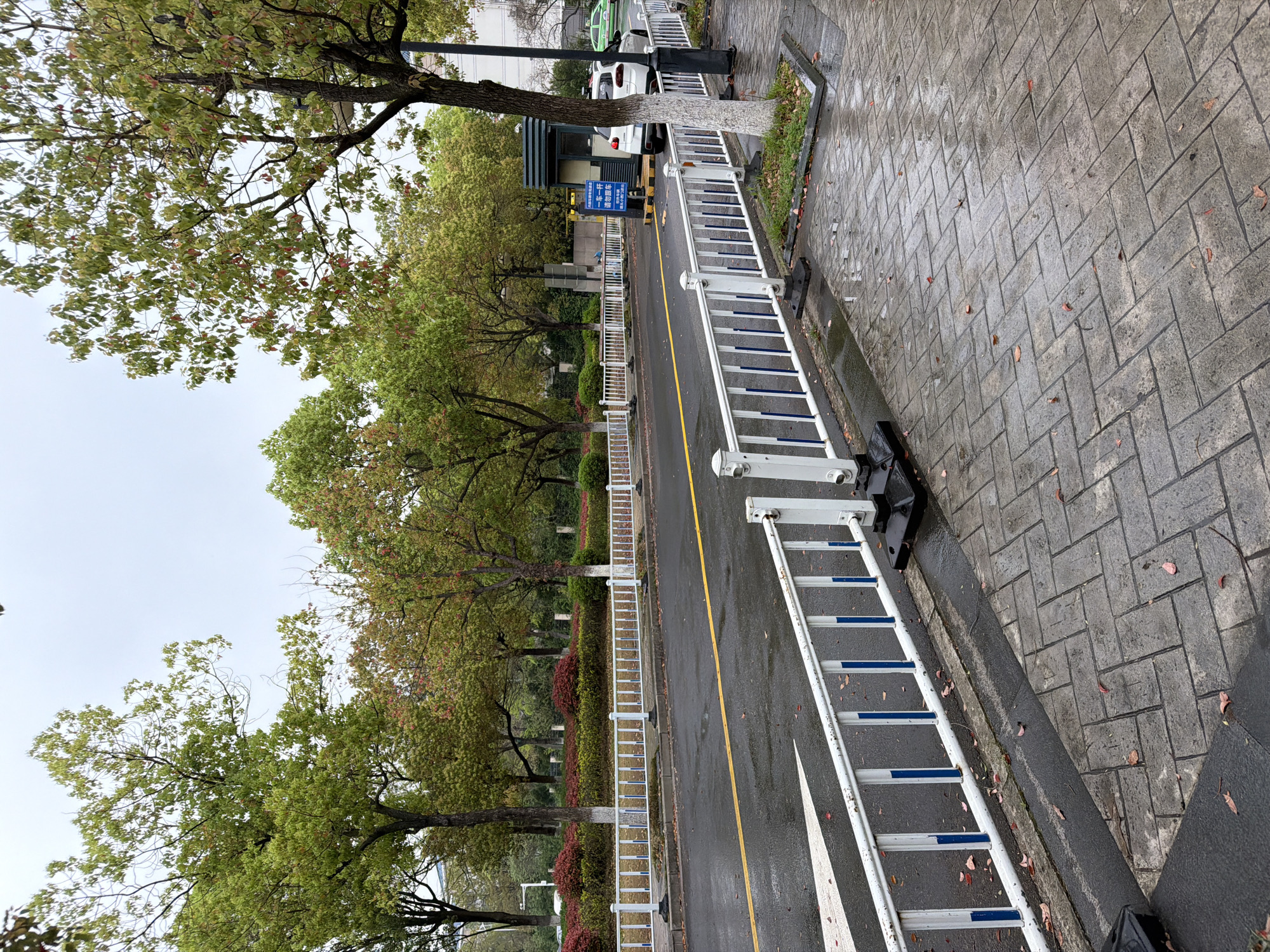The image captures an outdoor street scene in Jiangning District, China, likely at the entrance or perimeter of a property, under an overcast sky. The asphalt road and the grey paver stone sidewalk are visibly wet, indicating recent rain.
A long, white barrier, resembling a series of connected ladders with blue accents on the horizontal bars, extends along the right side of the wet asphalt road. The road features a solid yellow center line and some white markings. Further down the road on the left, a small guard booth with a dark roof and light-colored walls is visible, serving as a potential entry point. A blue rectangular sign is affixed to the guard booth, displaying Chinese characters which read '第一排' (First row/lane) and '请勿停车' (No parking / Please do not park), indicating traffic or parking regulations.
Numerous trees with green leaves and some interspersed reddish-brown foliage line both sides of the road, providing ample greenery. Shorter, reddish-brown and green bushes form landscaped strips behind the barrier. The trunk of the tree closest to the foreground on the left has a patch of white paint. Two vehicles, a white SUV and a green car, are parked further down the road near the guard booth. The grey paver stone sidewalk on the right is arranged in a herringbone pattern and has a few scattered brown leaves. No people are visible in the scene.