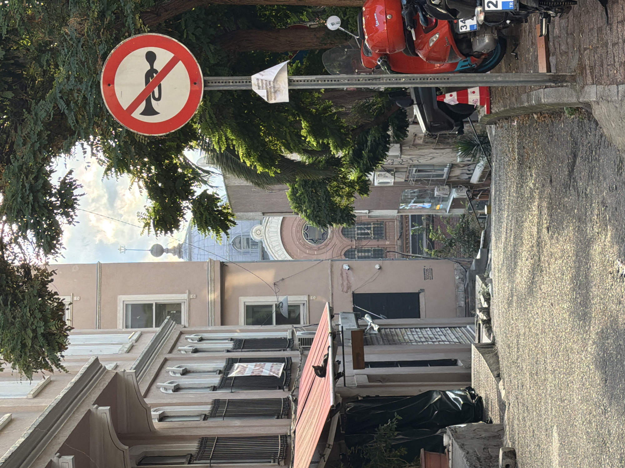 A narrow, descending cobblestone street in Beyoğlu, Turkey, is depicted on a sunny day. On the left, a light pink building with ornate window frames and black metal bars lines the street. A red awning extends from the building, over what appears to be a shop or cafe. A black cat is lounging on the edge of this awning. On the right side of the street, a red scooter is parked. A "no honking" sign is prominently displayed on a metal pole. Trees with lush green foliage are visible throughout the scene, casting shadows on the street. The architecture suggests a historic European-influenced urban environment. In the distance, the dome of a building with an intricate facade is visible, hinting at religious or institutional architecture. The overall atmosphere is one of a quiet, charming urban street.
