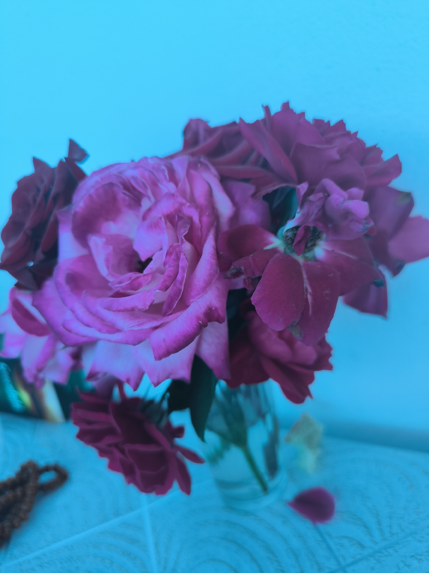 A bouquet of deep pink roses is presented against a bright cyan background. The roses are the primary subjects, with their velvety petals unfurling in various stages of bloom. The lighting is bright, creating a cool, almost ethereal atmosphere due to the dominant cyan hue. The roses appear to be in a glass vase, though the vase itself is largely obscured by the flowers. In the foreground, to the left, a string of dark brown beads, possibly prayer beads or a necklace, rests on a patterned surface. To the right, a single rose petal has fallen and lies on the same surface. The overall impression is one of quiet beauty and natural elegance. The scene is still, with no discernible activity other than the implied presence of a static arrangement. The time of day and weather are not evident from the image. There is no visible text.