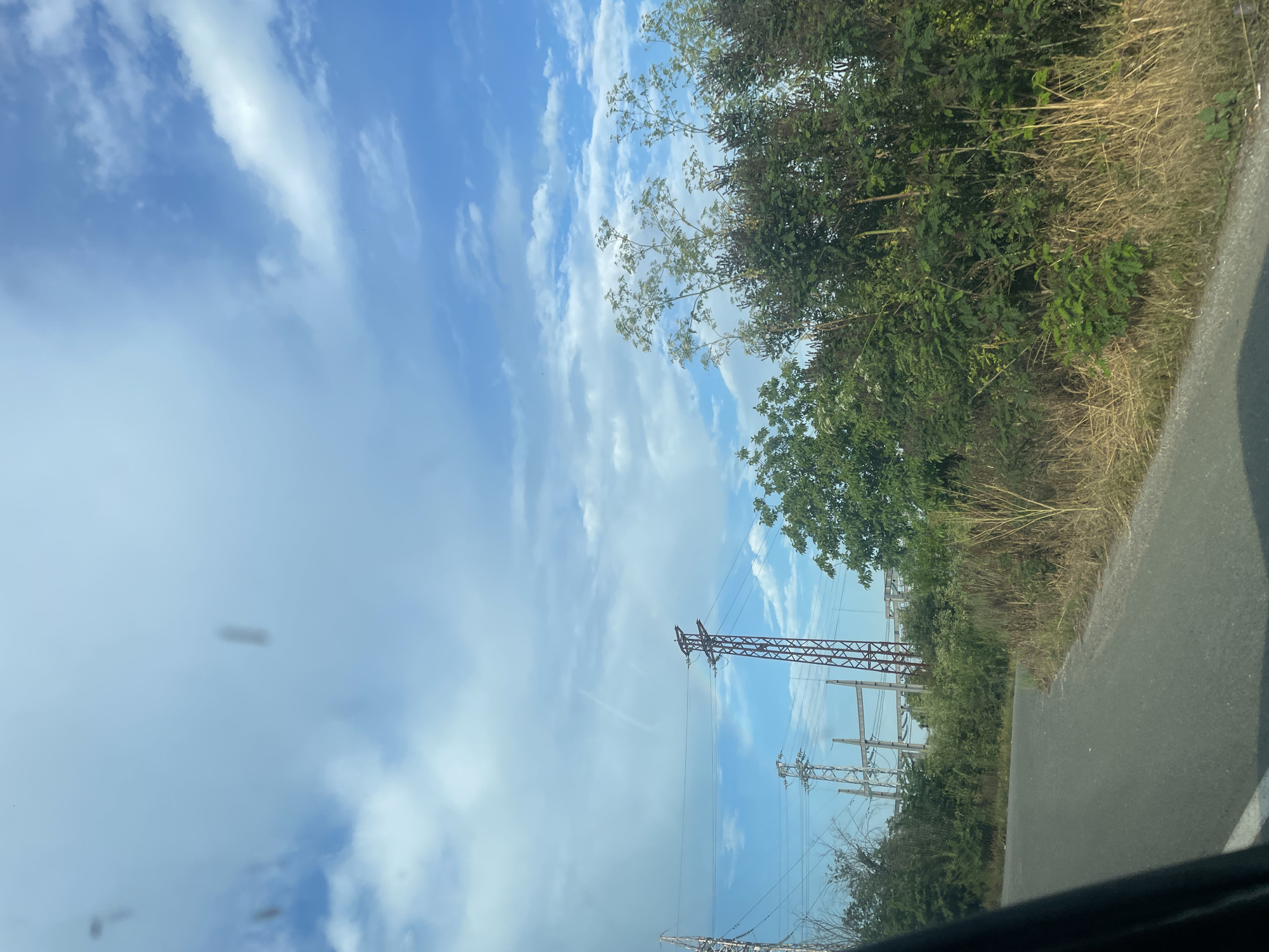 This image captures a daytime scene from the interior of a vehicle, looking out at a rural or industrial edge landscape located in the city of Cherni Vrah, Bulgaria.
The upper two-thirds of the frame are dominated by a bright blue sky with dispersed white cumulus clouds of varying density. A faint, thin contrail is visible in the middle-left portion of the sky. Several dark, out-of-focus, elongated specks, consistent with dust or debris on a camera lens or vehicle window, are scattered in the upper sky, particularly prominent on the left.
In the middle ground, prominently on the left side, are multiple electrical transmission structures. A tall, reddish-brown lattice tower stands prominently, while other grey metallic lattice structures and what appears to be part of an electrical substation with insulators are visible behind it. Numerous power lines are stretched horizontally and diagonally across the mid-sky.
The right side of the frame is densely vegetated. A continuous band of green trees and shrubs forms a natural barrier, with taller plants bearing white, umbrella-shaped flower clusters (likely an Apiaceae species) rising above the general foliage line against the sky. Closer to the road, the ground is covered in dry, yellowed grasses and weeds, forming a thick roadside verge. Green foliage is also present on the far left, behind the power infrastructure.
A dark grey asphalt road curves gently from the bottom center towards the left, exiting the frame. A faint white line is discernible along the left edge of the road, delineating its boundary. The bottom left corner of the image shows a dark, curved internal structure, indicating the perspective is from within a vehicle, possibly a door frame or dashboard.
No people, animals, or specific actions or interactions are visible within the scene. The lighting suggests it is daytime, likely under clear to partly cloudy conditions.