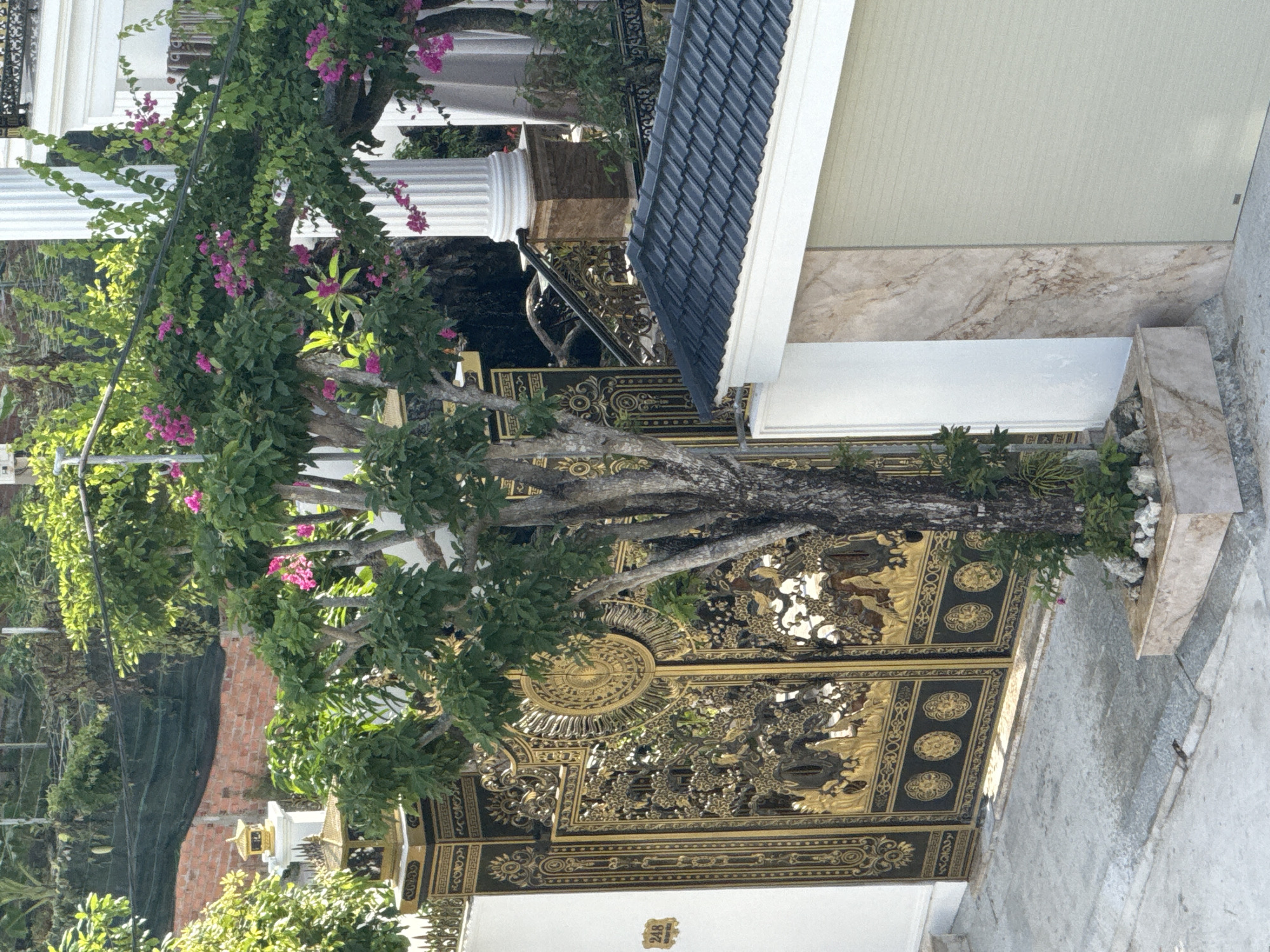 The image depicts the exterior of a property located in Bac Nha Trang Ward, Vietnam. A large, ornate golden gate, intricately designed with detailed carvings and circular motifs, stands prominently. To the left of the gate, a white wall is visible with a small house number plaque reading "248". A tree with lush green foliage and scattered pink flowers grows in front of the gate, positioned within a stone-lined planter box. Beyond the gate, a white pillar and railings suggest a pathway or staircase. To the right of the tree and gate, a section of a building with a dark tiled roof is visible, adjacent to a wall with a marble-like pattern and a beige rolling shutter door. The scene is illuminated by natural sunlight, creating shadows and highlighting the textures of the objects. The surrounding environment appears to be residential, with hints of greenery and other structures in the background.