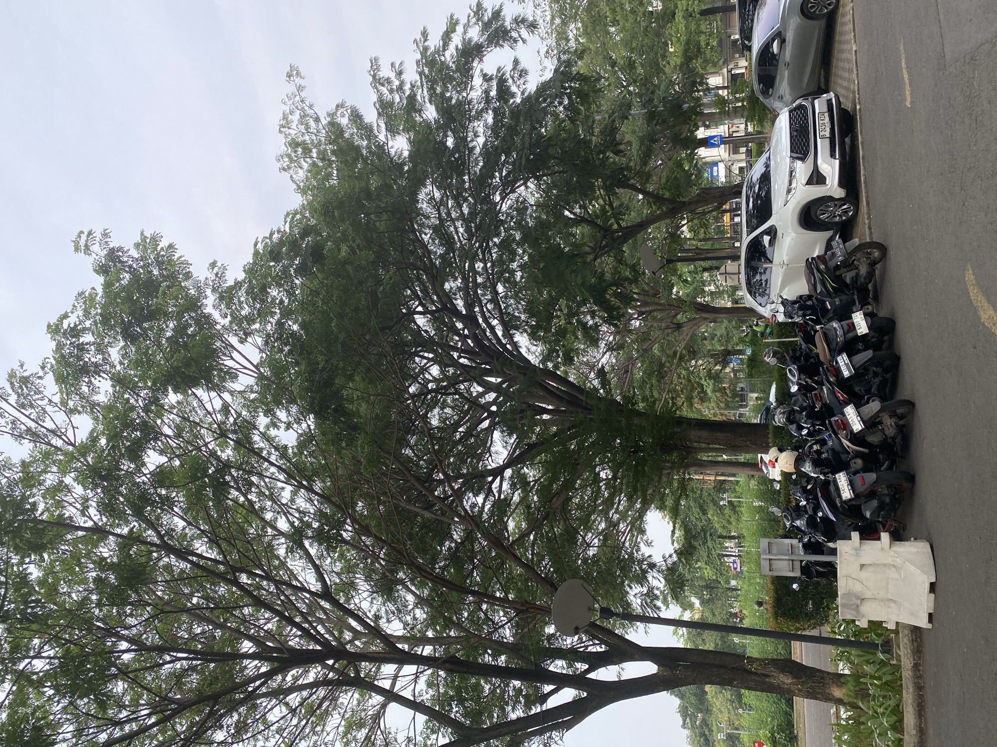 The image shows a parking lot scene in East Jakarta, Indonesia. In the foreground, a row of parked motorcycles is visible, with a white concrete barrier in front of them. Behind the motorcycles, a white SUV is parked, with its license plate clearly visible. To the right of the SUV, a silver car is partially visible. Tall trees with dense green foliage line the parking lot, casting shadows on the ground. In the background, there are more trees, buildings, and a street with traffic. The sky is overcast. The overall impression is a typical urban parking area on a cloudy day.