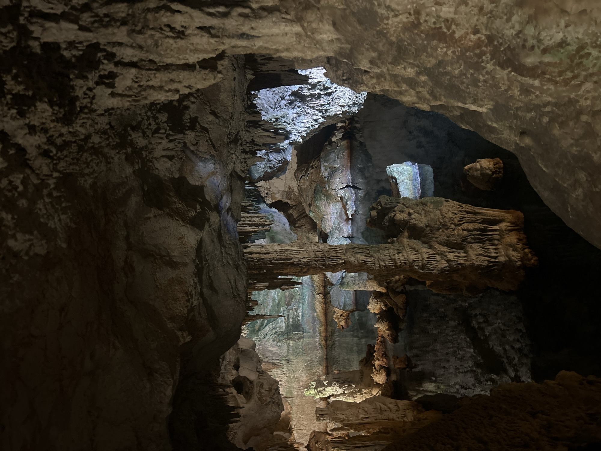 The image depicts the Grotta di Nettuno (Neptune's Grotto) cave in Alghero, Italy. The interior shows rock formations, stalactites, and stalagmites in the cave. Light sources illuminate sections of the cave, creating contrasts and highlights on the textured rock surfaces.