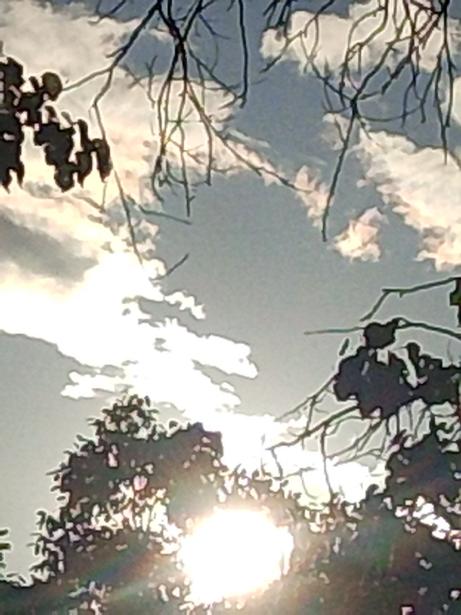 The image displays an outdoor scene observed through the silhouette of trees, with a prominent, brightly illuminated sun positioned in the lower central portion. The sun generates significant glare and lens flare, obscuring its exact shape and backlighting the surrounding elements. Above and to the sides, numerous dark, intricate tree branches are visible, some appearing bare, while others are interspersed with clusters of dark foliage. These branches and leaves frame the bright sky, which features scattered white and light-colored clouds. The sky transitions from a bright white near the sun to a pale blue-grey further away. The overall lighting suggests either sunrise or sunset. No individuals, specific objects beyond the trees and sky, or discernible actions or interactions are present. The scene is located in the city of Parpi, Armenia.