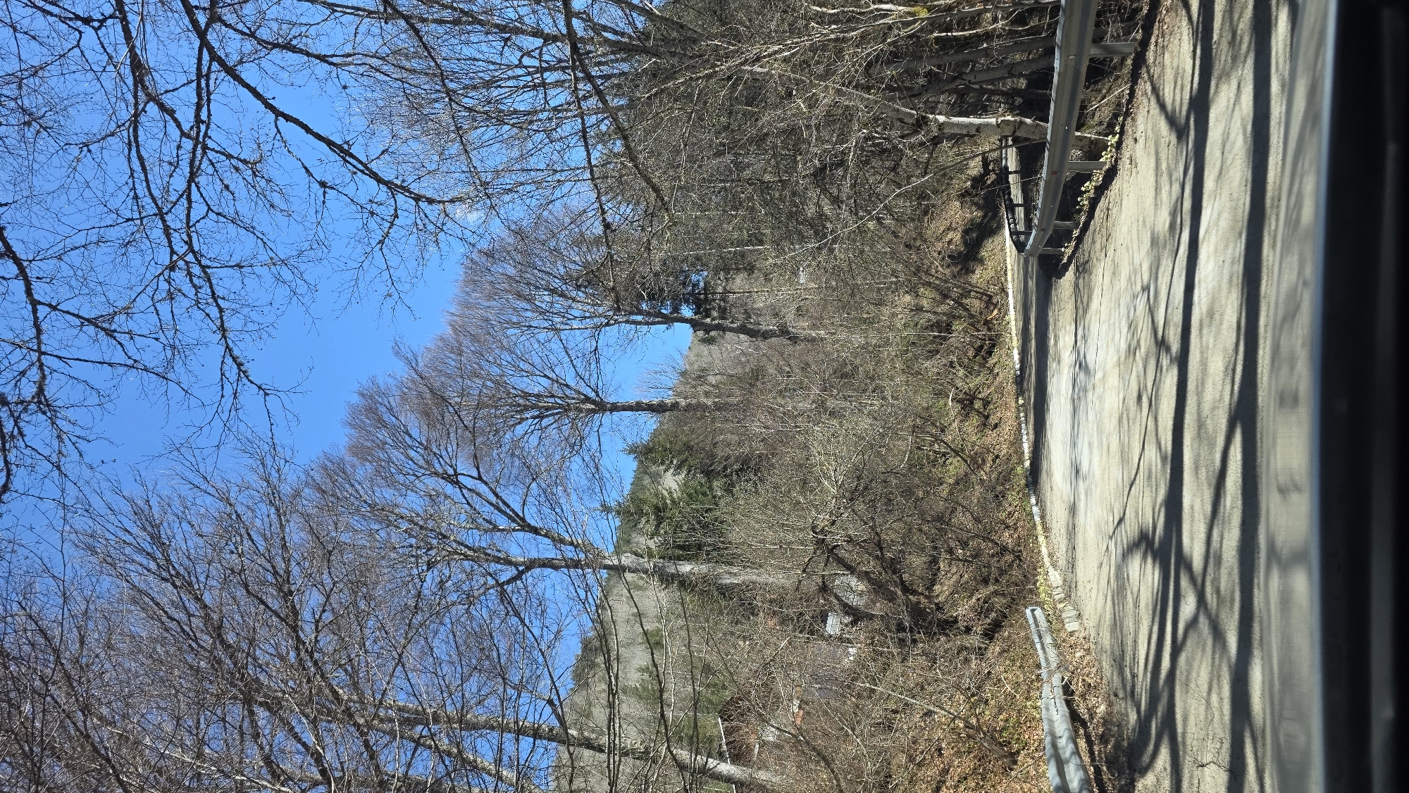 The image depicts a view of a road adjacent to a forest, possibly taken from inside a vehicle. The road is concrete, with a guardrail on one side. Tree shadows are cast on the road surface. The forest has mostly bare trees, with some evergreen trees in the background. The sky is blue. There are no people visible. The image is sideways. There is no information to place the image in the city of Blagoevgrad, Bulgaria.