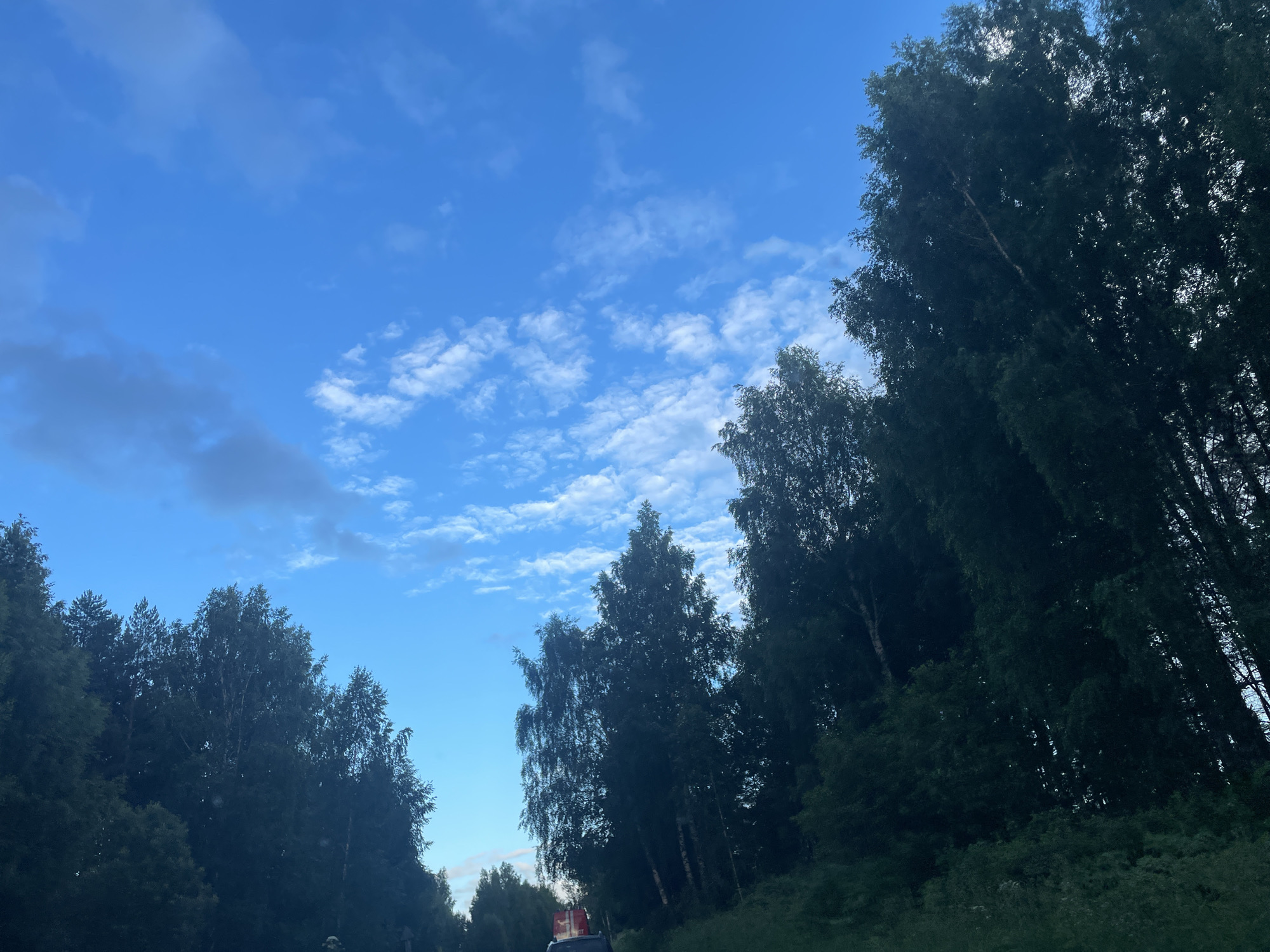 The image shows a view of a bright blue sky with scattered white clouds, bordered by a dense line of dark green trees. The trees are tall and appear to be deciduous, with some appearing to be birch trees due to their lighter trunks visible in places. The perspective is from below, looking up towards the sky and into the treeline, suggesting the photo was taken from the ground or a low vantage point. The lighting indicates it is likely daytime, possibly late afternoon given the soft quality of the light. There is a hint of a road or path in the foreground, with a red object on top of a vehicle visible at the bottom center, suggesting it might be a roadside scene. The location is identified as Камское, Russia.