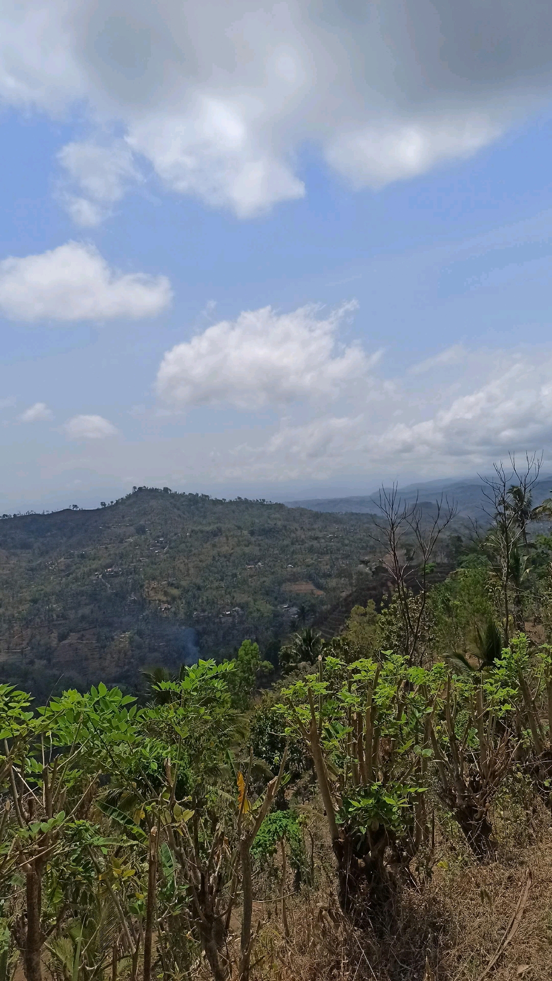 This image captures a landscape view from a high vantage point, likely overlooking a rural area in or around Jrakah, Indonesia. The foreground is dominated by various plants and trees, some with lush green leaves and others appearing drier and bare, suggesting a mixed vegetation environment. Beyond the immediate foliage, a sprawling hillside is visible, covered in dense green vegetation interspersed with what appear to be small structures or dwellings, indicating a populated rural settlement. Terraced fields or cleared land patches are also discernible on the slopes. In the distance, layers of rolling hills and mountains fade into the horizon under a bright sky filled with scattered white and gray clouds. A faint plume of smoke rises from one of the hillsides in the mid-ground, possibly from a controlled burn or cooking fire. The overall scene depicts a natural, hilly terrain with signs of human habitation and agricultural activity.