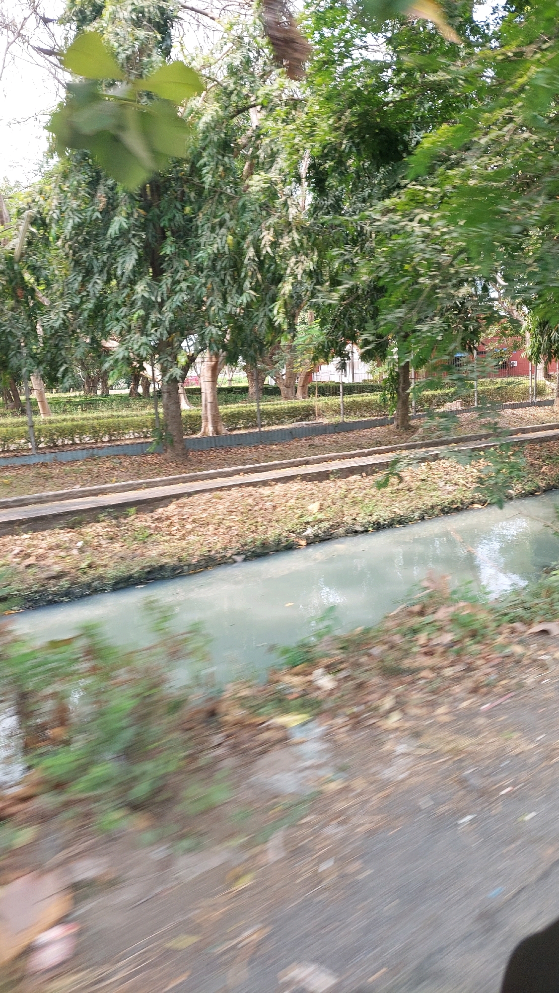 The image shows a drainage ditch filled with murky water, bordered by a path and overgrown vegetation, with trees lining the background. A chain-link fence separates the ditch area from a manicured lawn with trees and shrubs. In the distance, a red brick building is partially visible. The scene appears to be an outdoor area in a park or along a street. No people are visible in the image. The overall impression is one of an urban or suburban environment with natural elements and signs of water management infrastructure.