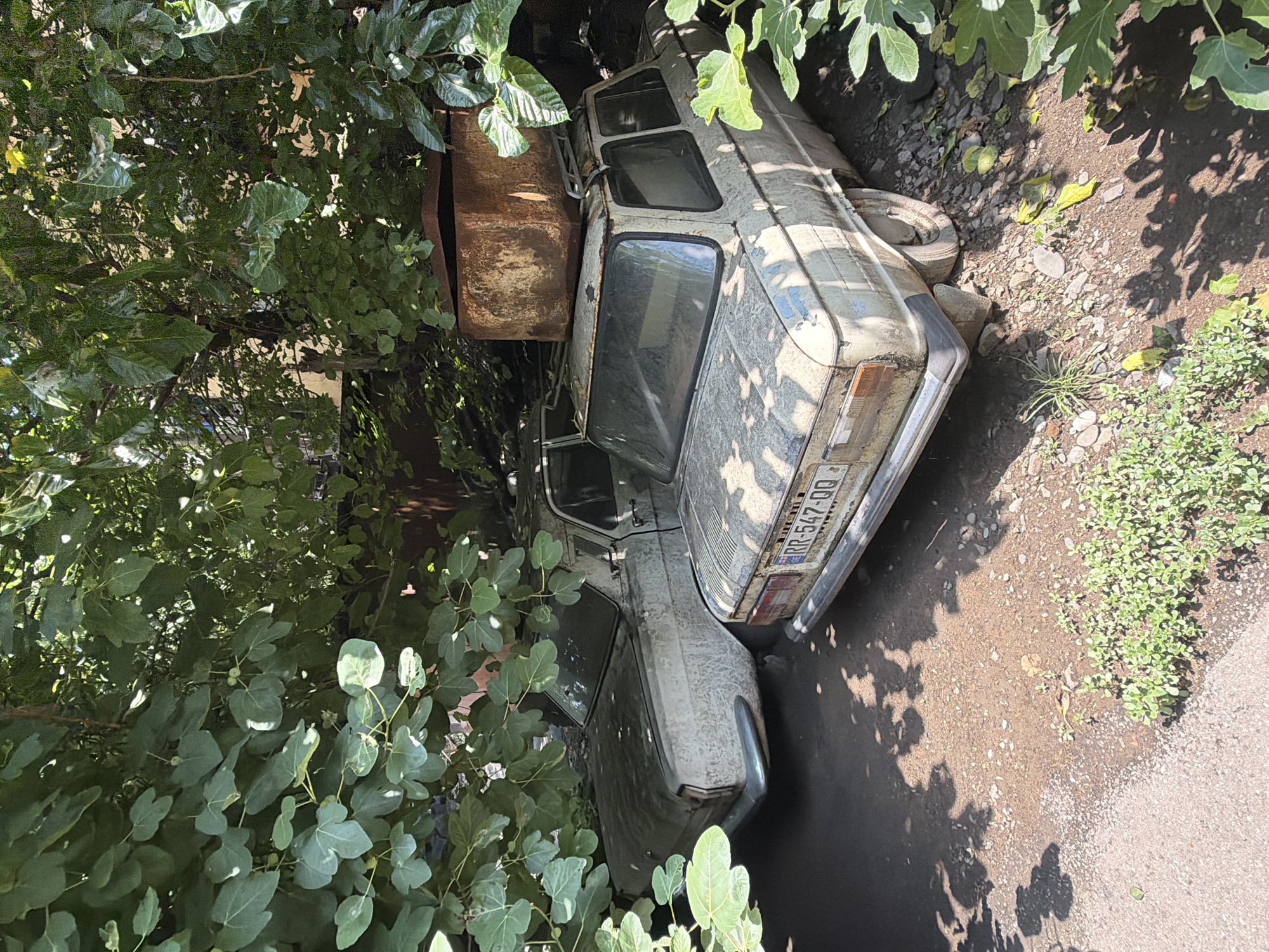 Two dusty, white, Soviet-era cars are parked under a dense canopy of green leaves. The car in the foreground has a rusty metal box on its roof rack and a license plate that reads "RR-547-QQ." The second car, partially obscured by the first, is also white and appears to be in similar condition. The ground beneath the cars is a mix of dirt, gravel, and some patches of green vegetation. Sunlight filters through the leaves, casting dappled shadows on the cars and the ground. The scene suggests an outdoor setting, possibly an overgrown yard or a forgotten corner of a property in Tbilisi, Georgia.