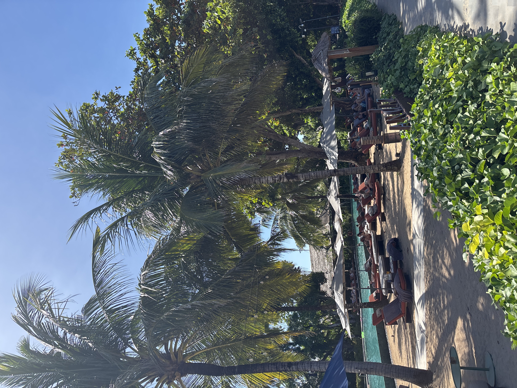 The image depicts a beach scene in Denpasar, Indonesia, with palm trees dominating the left side of the frame against a clear blue sky. To the right, a row of lounge chairs and umbrellas are positioned on the sand next to a turquoise swimming pool. Lush green foliage borders the right side of the scene, and some of the chairs are occupied by people, suggesting a relaxed, resort-like environment. String lights are strung between the palm trees, further indicating a resort setting.