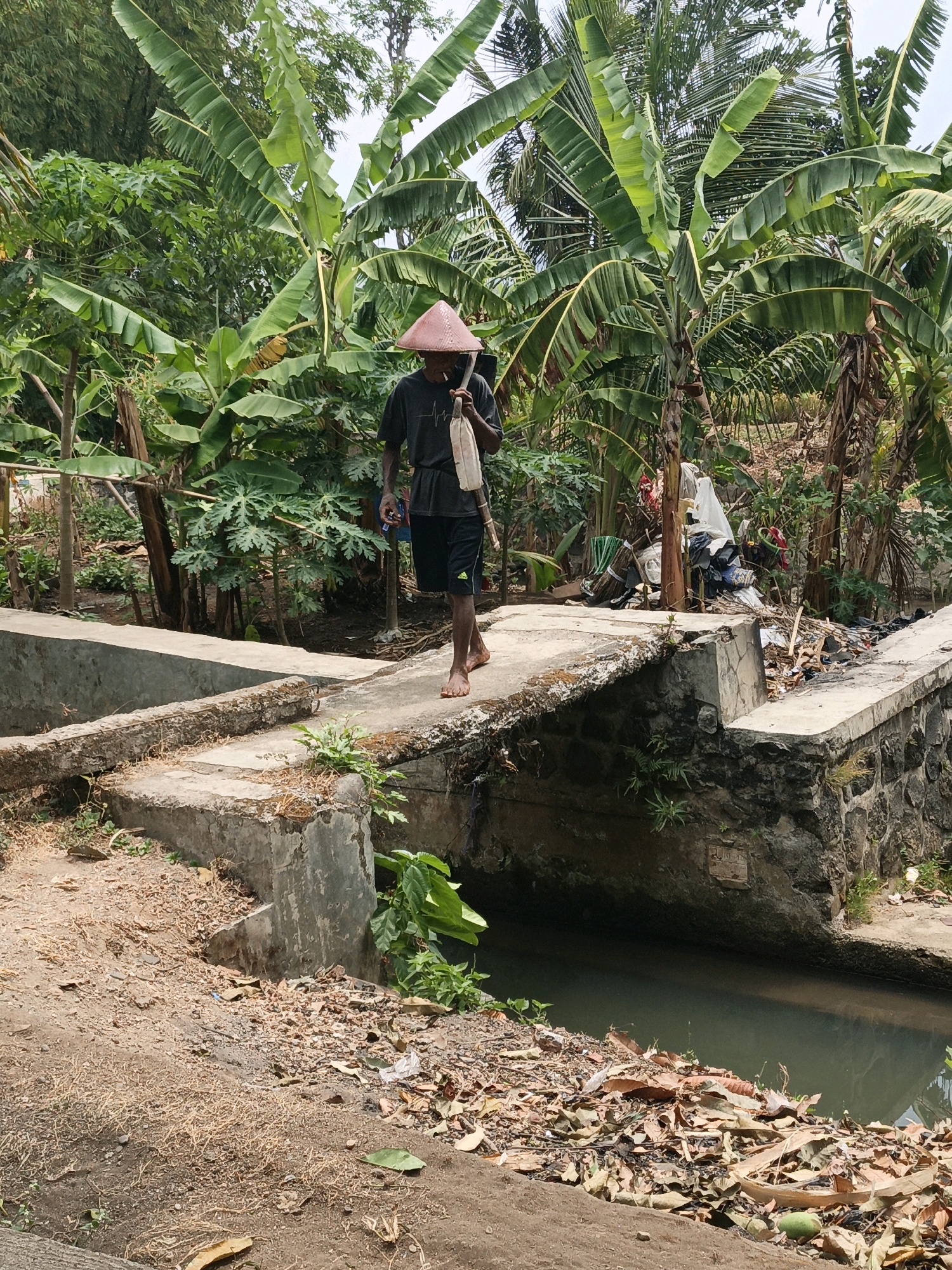 A man in a conical hat walks across a concrete bridge in Mangli, Indonesia. He wears a dark t-shirt and shorts, carrying a bag over his shoulder. The bridge spans a narrow canal, with lush green vegetation, including banana trees, surrounding the area. Debris is visible on the embankment to the right of the bridge. The ground is a mix of dirt and dry leaves. The man is walking away from the camera towards the right.