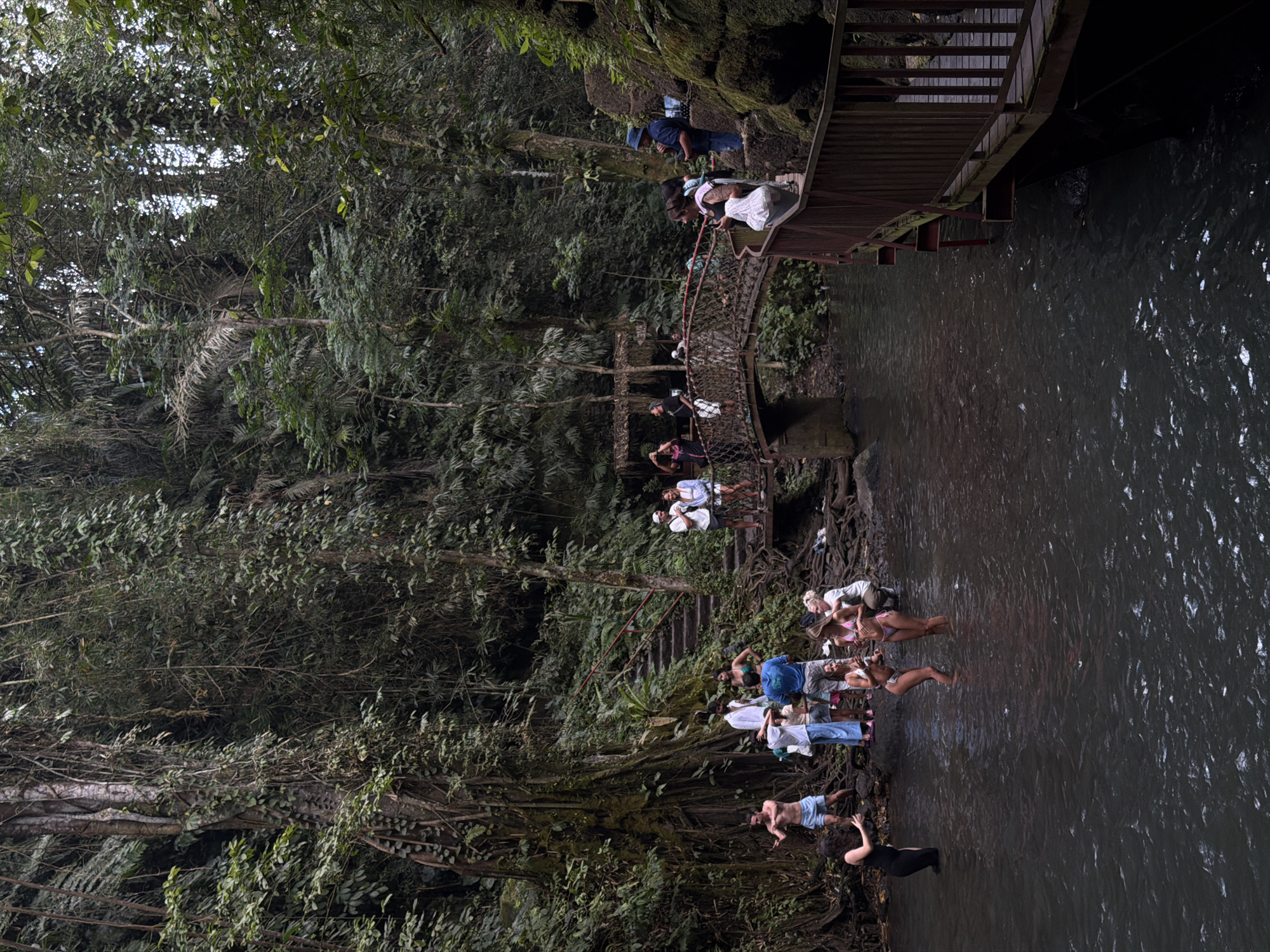 In Tegallalang, Indonesia, a group of tourists are gathered in a lush jungle setting near a waterfall. The scene is dominated by dense foliage and trees, with a dark, murky river flowing through the foreground. A rustic wooden bridge spans the river, connecting two sides of the jungle. Several individuals are seen wading in the water, some in swimsuits, while others stand on the riverbanks or the bridge. A set of stone stairs leads up a steep incline to a higher level of the jungle. The overall atmosphere suggests a popular tourist attraction, likely a natural water feature within the jungle.