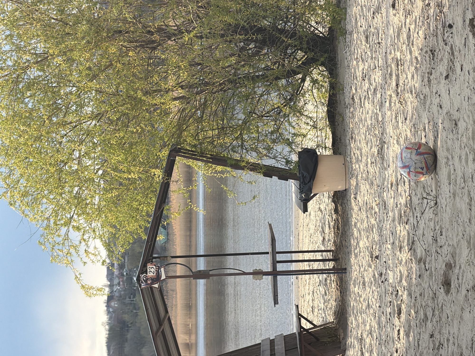 The image shows a sandy beach in Olginskaya, Russia, next to a body of water (likely the Don River, given the location). A metal structure with a sign labeled "23" stands near the edge of the beach. Behind it, there is a wooden box covered with a black plastic bag. A soccer ball rests on the sand to the right of the box. A tree with early spring foliage is located behind the box and the metal structure. The background shows a town/village on a hillside across the water. The weather appears sunny.