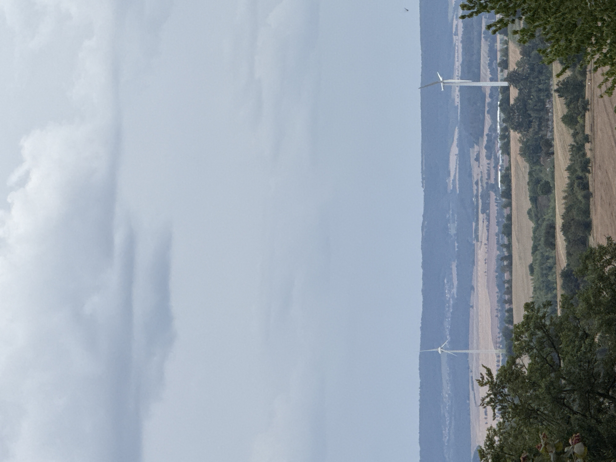 The image shows a panoramic view of a rural landscape under a cloudy sky. In the mid-ground, two wind turbines are visible, one to the left and another to the right. The turbine on the left is taller and more prominent, while the one on the right is partially obscured by trees. The landscape features rolling hills, fields of crops in various shades of brown and green, and scattered patches of trees and forests. In the foreground, the dark green foliage of trees partially frames the scene. The background is a hazy blue silhouette of distant hills. The image appears to be taken from an elevated vantage point. The location in the city of Bad Sachsa, Germany, is implied by the presence of wind turbines, characteristic of the region's landscape.