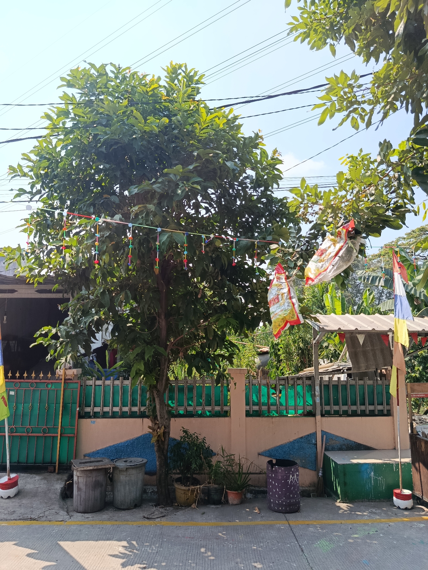 In the city of Wanasari, Indonesia, a street scene unfolds under a clear sky. A large tree with lush green leaves dominates the center of the frame, adorned with a colorful string of small ornaments. Two large, white plastic bags, one partially open, hang from a string stretched across the tree. The tree stands on a paved area next to a light-colored wall with a green patterned fence. In front of the fence are two gray cylindrical trash bins. To the right of the tree, a small, open-sided shelter with a metal roof is visible, decorated with several flags. Another, smaller tree or bush is planted in a yellow pot near the trash bins. Further to the right, a green rectangular structure sits on the ground, and a purple cylindrical bin with white patterns is located in front of the wall. Various plants are seen behind the fence and around the shelter. Electrical wires crisscross the sky above the scene. The ground is paved with concrete, with a yellow line painted horizontally across it.