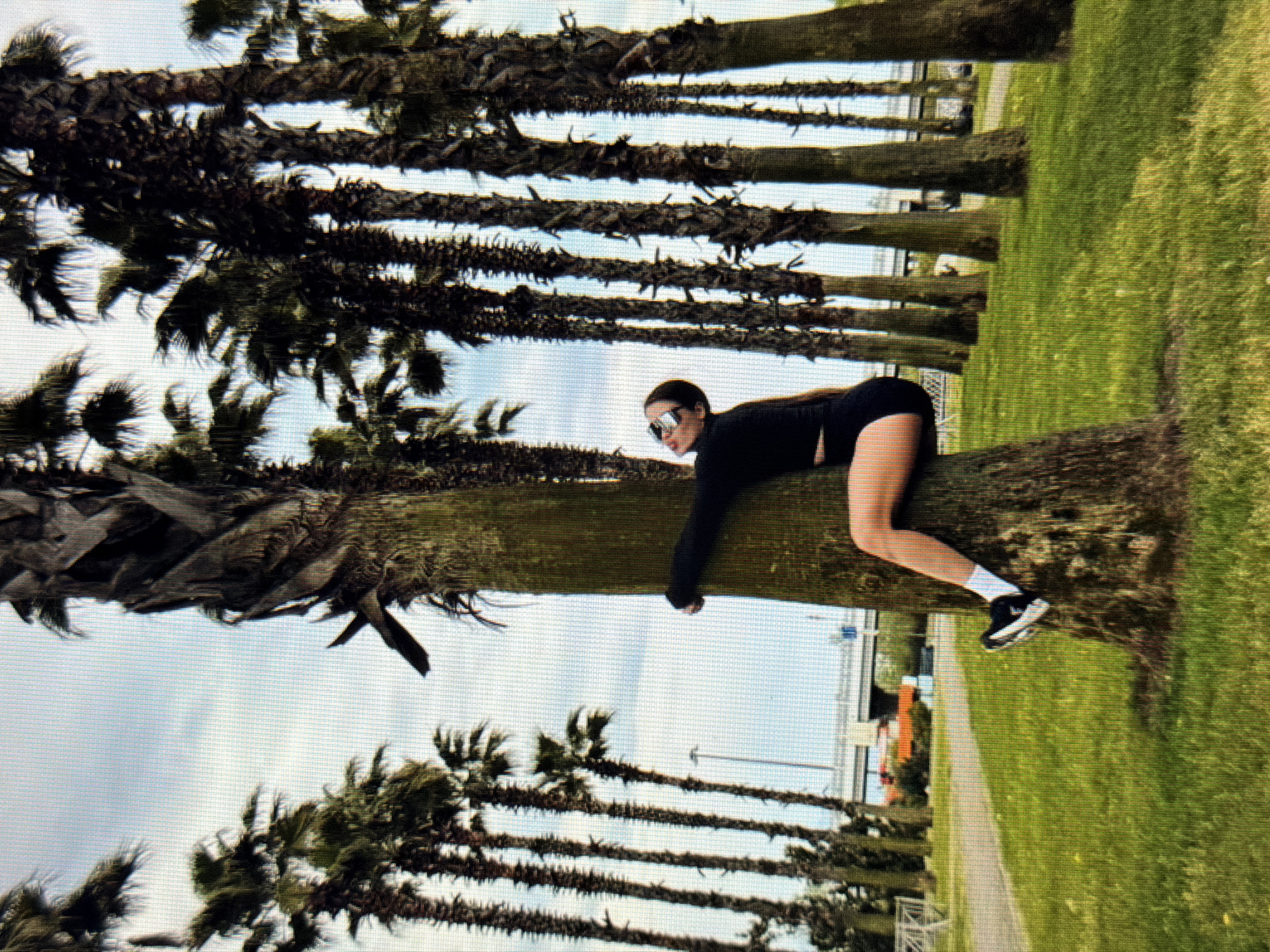A woman is lying on a palm tree with a black long-sleeved shirt and black shorts. She has sunglasses on and her feet are pointing to the right, wearing white socks and black shoes. The scene is outdoors with a grassy area to the right and palm trees in the background. The sky is cloudy. There is a road and some buildings in the distance.