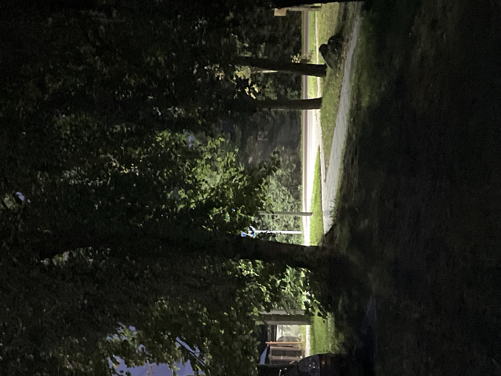 The image depicts a nighttime scene on a sidewalk next to a street, flanked by trees and grass. In the foreground, a dark grassy area with shadows is visible. A portion of a dark-colored vehicle is on the left side of the frame. A paved sidewalk curves to the right, bordered by grass. Beyond the sidewalk, a street is visible, with trees and vegetation on the other side. A lamppost with a blue light is situated between two trees. In the background, a building with illuminated windows can be seen. The overall atmosphere is dimly lit, with artificial lights casting a glow on the scene. The location is identified as Vilnius, Lithuania.