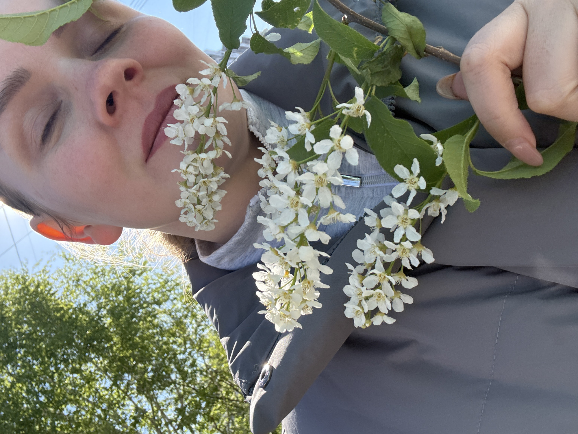 A medium close-up shot captures a woman's face alongside branches laden with small white flowers and green leaves. The woman's eyes are closed, and her face is positioned at an angle relative to the camera, with her lips near some of the blossoms. She wears a gray jacket over a light gray shirt or sweater. Her hand, visible on the upper right, gently holds the flower-covered branch.
The background reveals a glimpse of green trees under a bright sky, suggesting an outdoor setting. While the specific location in Chaikovsky, Russia, cannot be definitively determined from visual information alone, the presence of flowering trees and the general environment points towards a park or garden setting within the city. The shot's angle and composition hint at a self-portrait or a candid snapshot taken in natural light.