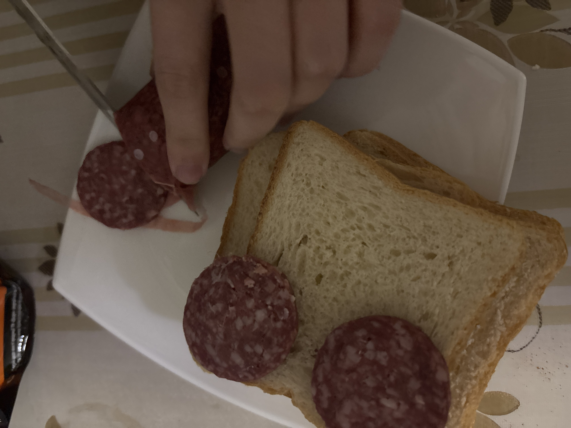 A close-up, high-angle shot shows a person's hand holding a knife and cutting slices of salami. The salami is placed on a white rectangular plate alongside two slices of white bread. Two other slices of salami are already on one of the bread slices. The scene is set on a table covered with a patterned tablecloth. The lighting is dim, suggesting an indoor environment. The location is unknown.