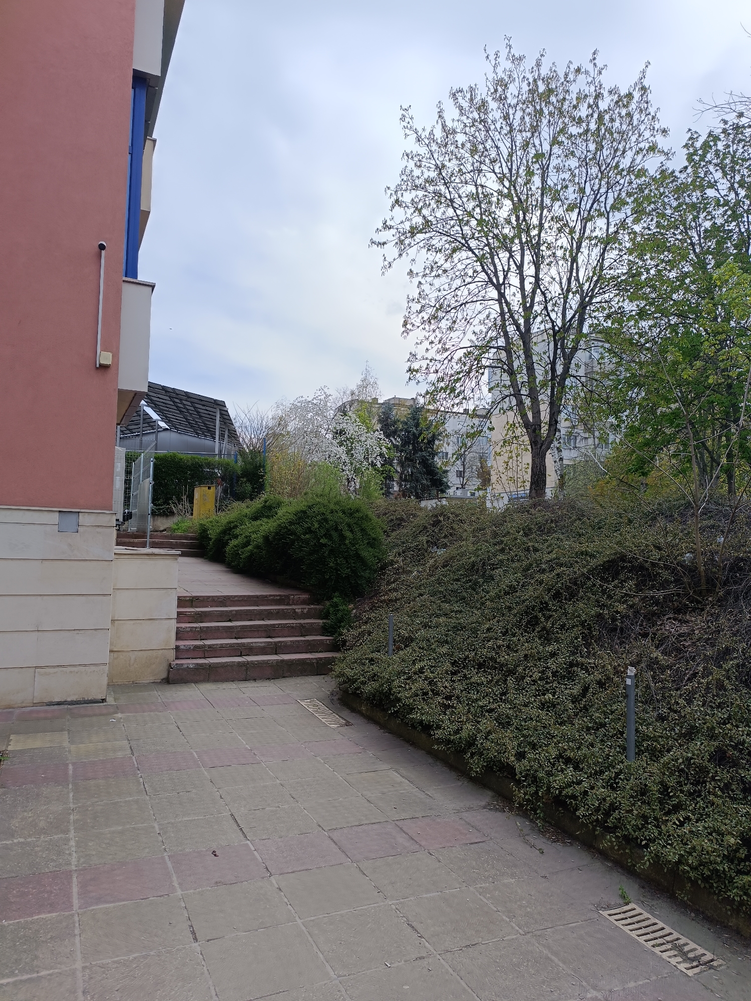 The image shows a pathway leading uphill in an urban setting, possibly a park or a residential area. The pathway is paved with rectangular stones of varying colors, and it has two sets of short stairs. The path leads past a building on the left that is painted pink and beige, and a raised embankment covered in low-lying green vegetation on the right. In the distance, buildings can be seen, and a tree is prominently featured in the center of the frame. The sky is overcast.