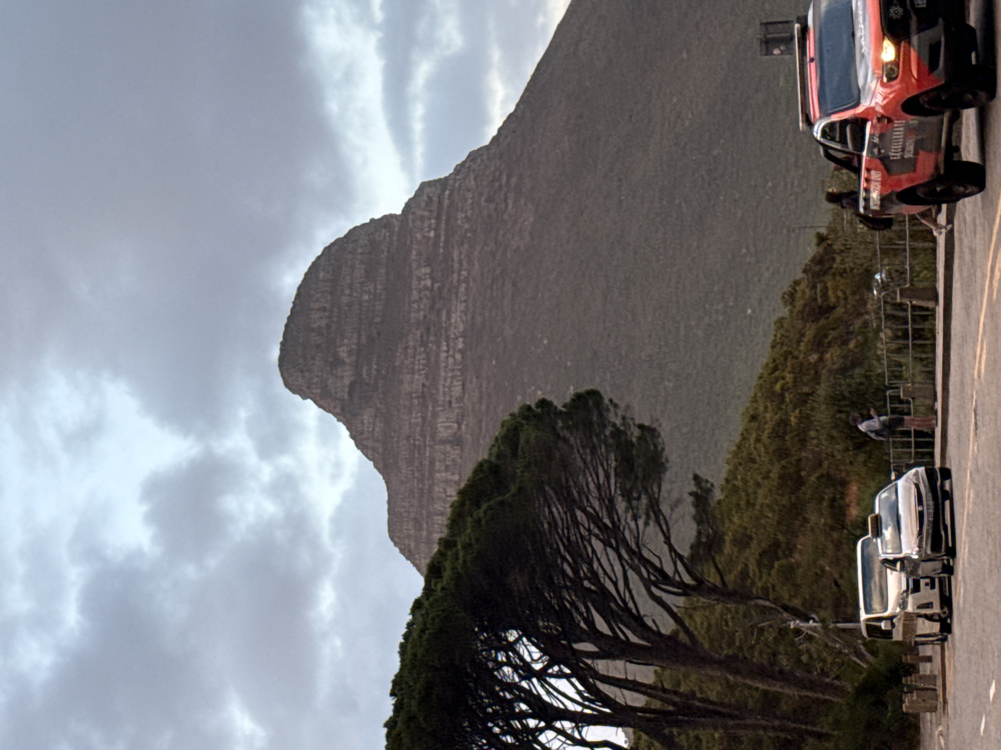 The image depicts a view of Lion's Head mountain in Cape Town, South Africa, taken from a roadside perspective. The mountain dominates the background under a cloudy sky. In the foreground is a large, dark green tree with a distinctive branching pattern. To the right of the tree, along the roadside, are parked vehicles including a red pickup truck with an open door and other silver cars. A metal fence runs along the road edge with a person appearing to lean against it. The road surface is visible and takes up a portion of the right side of the frame.