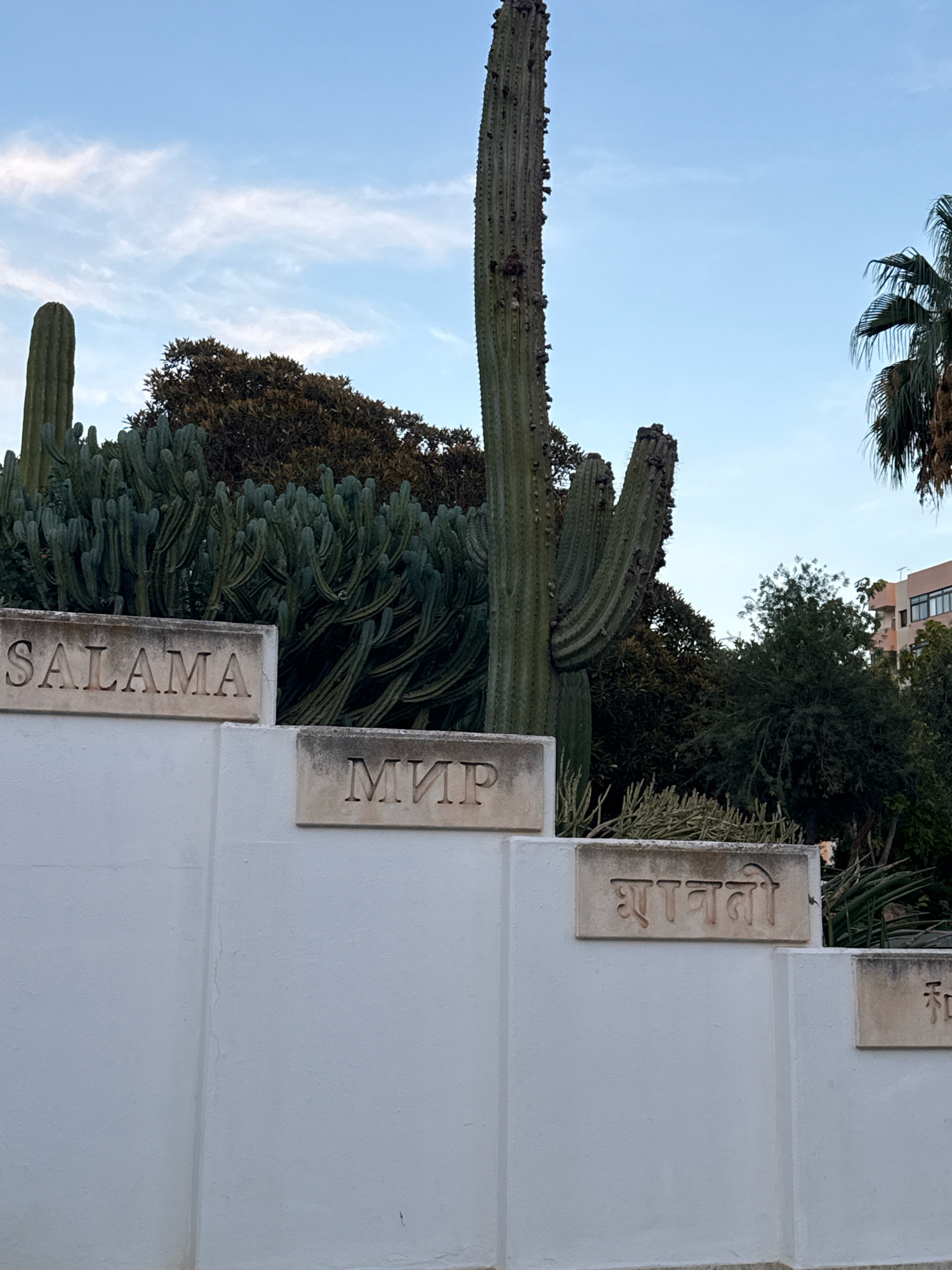 In the city of Ibiza, Spain, a series of low, white concrete walls are arranged in a stepped fashion. Each section of the wall features a carved stone plaque displaying a word in a different language. The first plaque visible reads "SALAMA" in Latin script. To its right, a plaque shows "МИР" in Cyrillic script. Further to the right, a plaque displays text in what appears to be Devanagari script, which can be transliterated as "Shanti" or "Shaanti". The final visible plaque shows characters that are likely Chinese, possibly "和" (hé), meaning peace or harmony. Behind these walls, a lush collection of cacti and other desert plants, including tall, columnar cacti, are thriving. In the background, a building with light-colored facades and windows is visible, along with palm trees and other greenery. The sky above is a clear blue with some wispy clouds. No people are present in the scene.