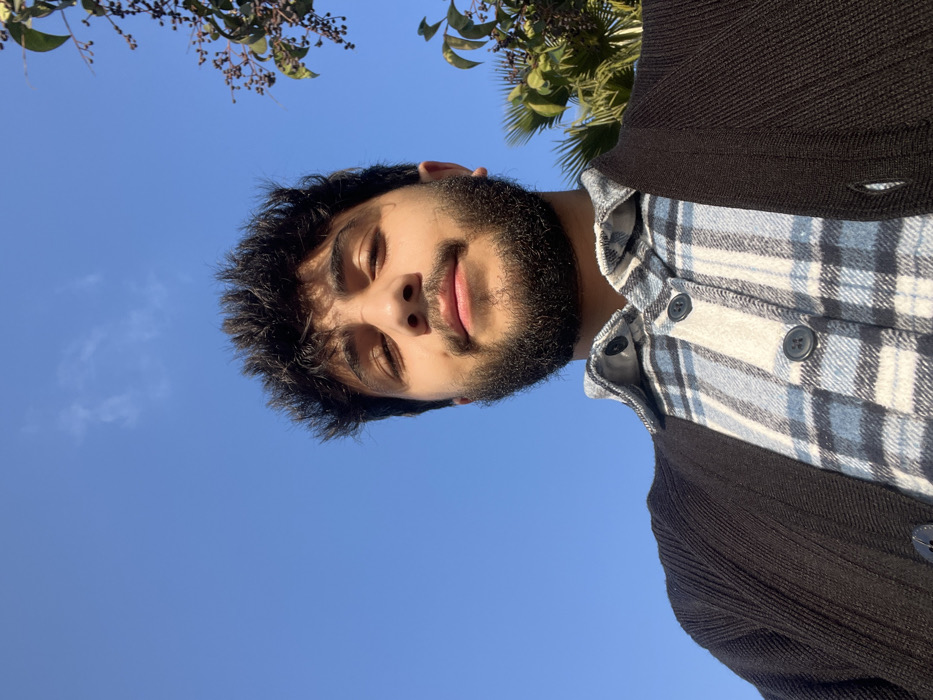 A man with dark hair and a beard is looking down at the camera. He is wearing a blue and white plaid shirt with a dark cardigan over it. The background is a clear blue sky with a few trees visible at the top of the frame. The photo is taken from a low angle, making the man appear to be looming over the viewer. The sunlight illuminates the man's face, highlighting his features.