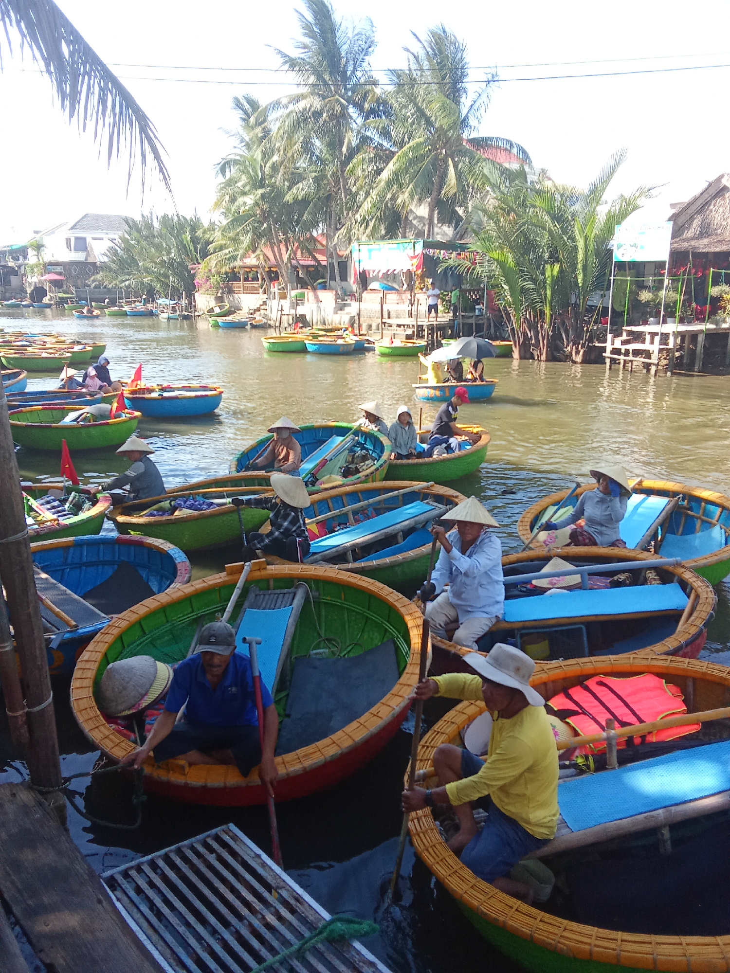 This media file captures a vibrant scene of traditional basket boats on a canal in Da Nang, Vietnam. The main subjects are the round, woven basket boats, many of which are painted in bright colors like green, blue, and yellow, with orange trim. Several people are visible, mostly men, wearing conical hats, which are typical of Vietnamese rural attire. They are actively engaged in rowing or preparing to row these unique boats.
The activity taking place is the operation of these basket boats, suggesting a form of local transport, tourism, or fishing. The boats are closely packed together, indicating a busy waterway. In the background, palm trees and other tropical foliage dominate the scene, with a few buildings and stalls lining the canal, hinting at a bustling waterside community or market. The presence of brightly colored signs on some of the stalls suggests commercial activity.
Notable details include the time of day, which appears to be sunny and bright, indicating daytime. The weather seems pleasant, with clear skies. The overall mood conveyed is one of lively activity and cultural immersion. The distinct shape and construction of the basket boats are a strong indicator of the location being Vietnam, specifically a coastal or riverine area. The overall impression is a picturesque and active Vietnamese waterscape. No visible text is clearly discernible in the image.