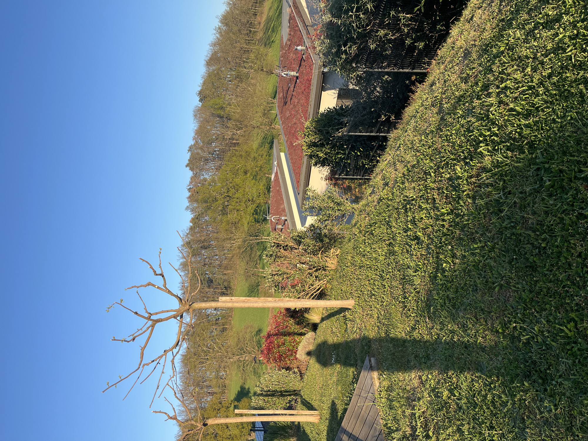 The photograph depicts a view of Chambœuf, France, showcasing a blend of residential architecture and natural elements. In the foreground, pruned trees with bare branches are visible, casting long shadows on the grassy lawn. The ground cover consists of green grass. Behind the trees, a low, reddish-brown roof can be seen, possibly of a residential building. The building is surrounded by dense greenery and trees. The sky is a clear, unclouded blue.