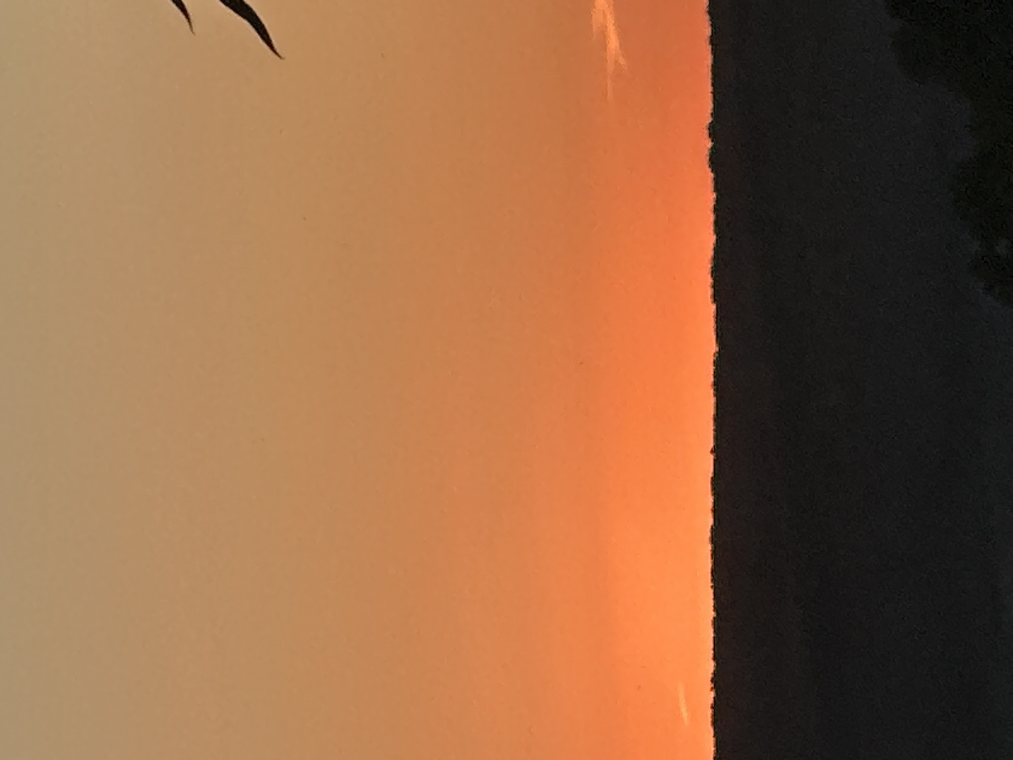 This is a photograph of a sunset over a dark, silhouetted landscape. The sky is a gradient of orange and yellow, with a thin band of brighter orange at the horizon. A faint cloud is visible on the right side of the image. In the upper right corner, there are two dark, curved shapes that appear to be part of a bird or insect in flight. The lower half of the image is dominated by a dark, textured mass that represents the landscape, likely hills or trees, against the vibrant sky. The image does not contain any information about the city of Makiv, Ukraine.