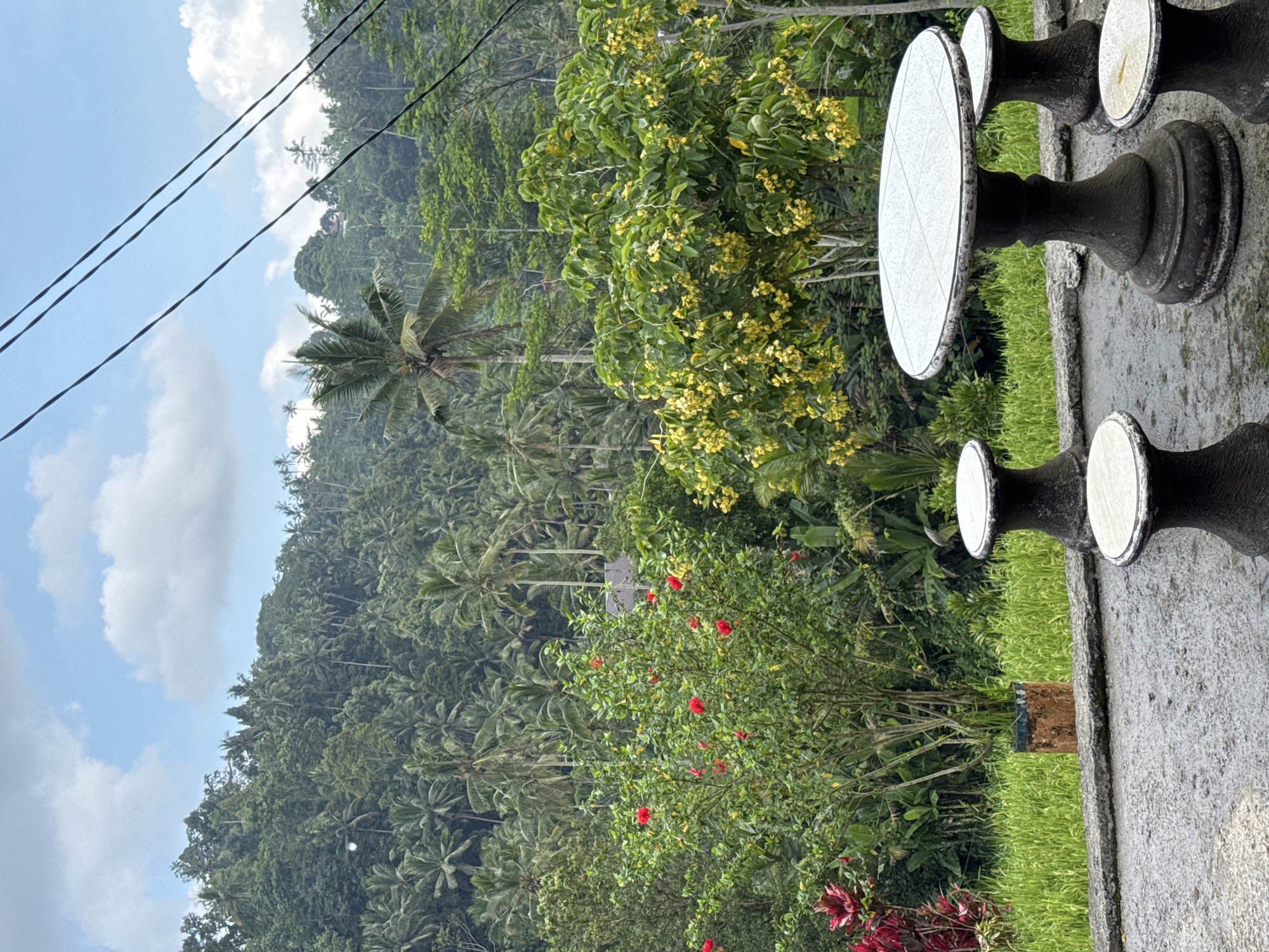 Captured in Rendang, Indonesia, the image presents a lush, tropical landscape viewed from an elevated perspective, potentially a balcony or terrace. Predominantly green, the view is dominated by a dense forest of palm trees and verdant foliage stretching into the distance under a partially cloudy sky. A few overhead power lines intersect the upper-left portion of the frame. In the foreground, a set of decorative stone tables with circular tops and dark, ornate stands line the edge of the viewing area. The immediate foreground features a mix of vibrant greenery, including flowering plants with red blooms. The scene is tranquil, suggesting a serene environment amidst the natural landscape.