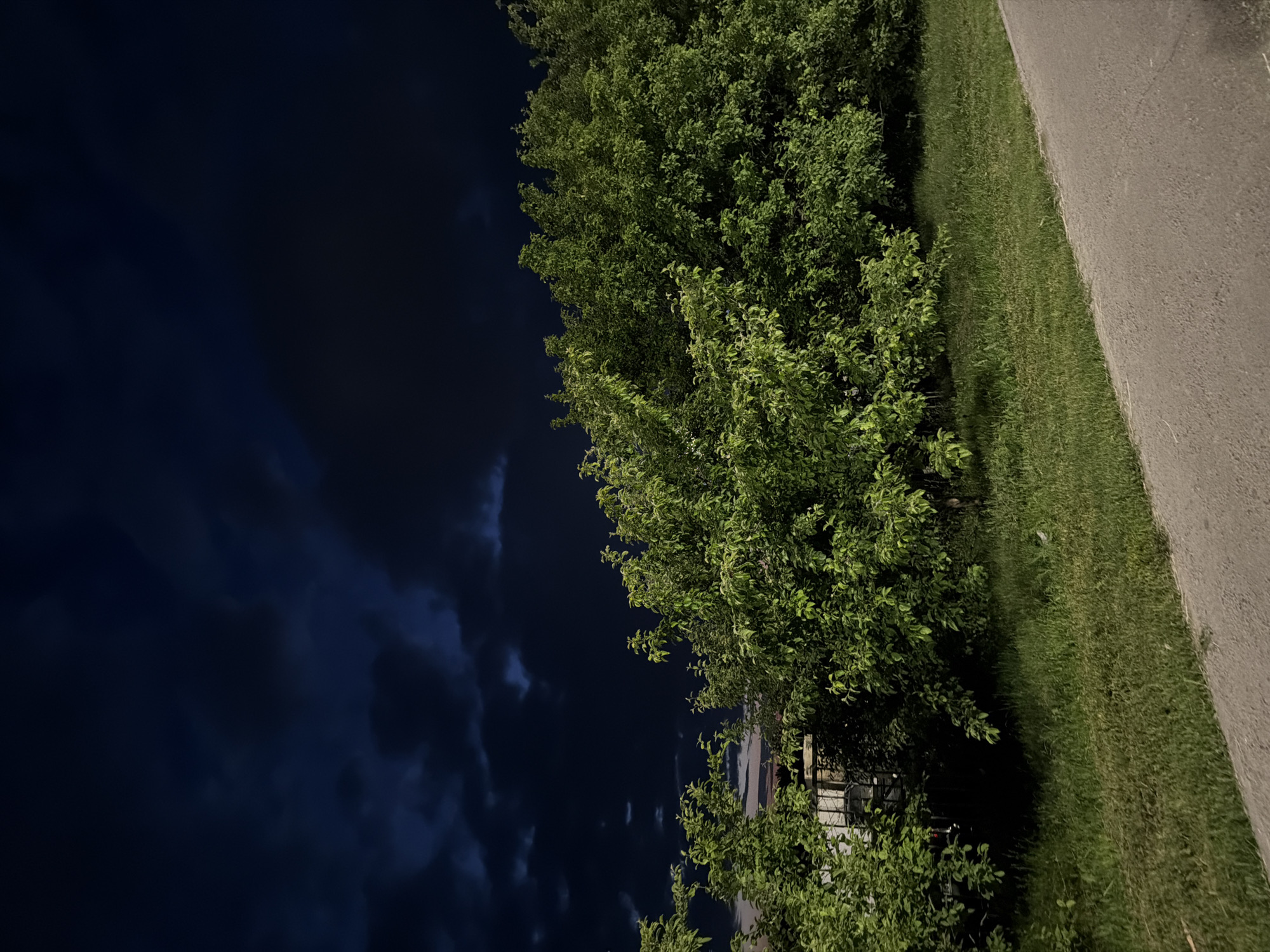 The image depicts a nighttime scene featuring lush green trees and a dark, cloudy sky above. In the foreground, a paved pathway runs diagonally from the bottom right corner towards the center of the image, bordered by a strip of grass. The trees are dense and full, obscuring much of what might be behind them, though a hint of a fence or structure is visible through the foliage on the left side. The overall atmosphere is subdued due to the low light conditions of the night. The image does not contain any people or visible actions. The location is specified as Naberezhnye Chelny, Russia.