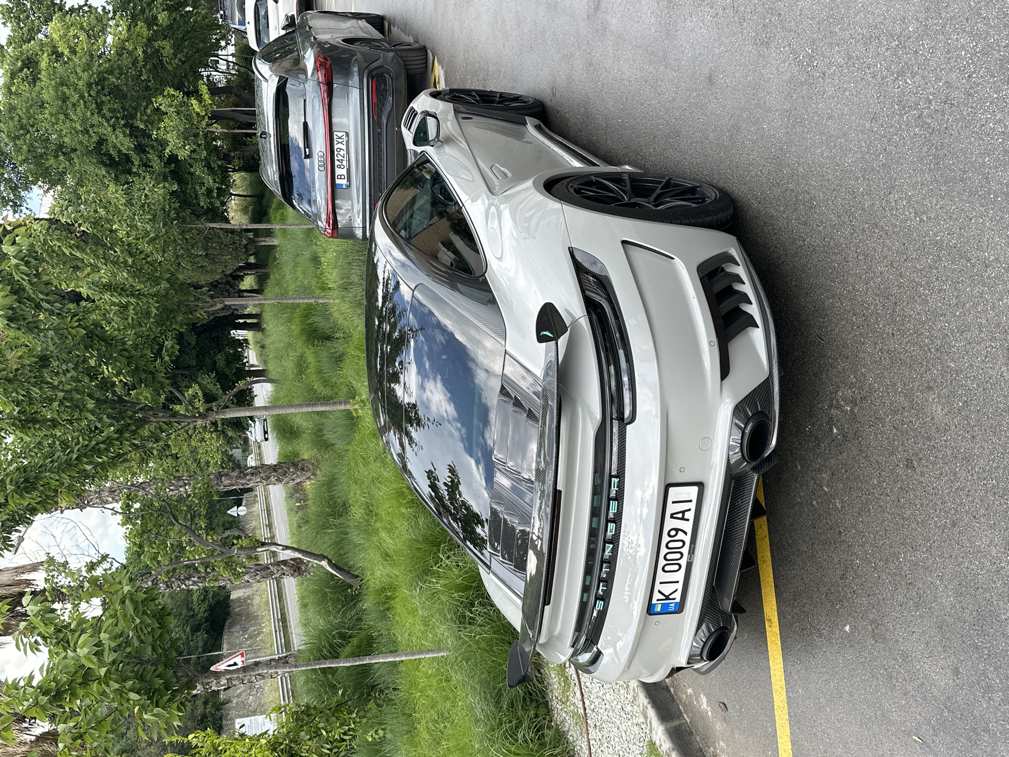 The image shows two parked cars on an asphalt road next to a grassy area with trees. The foremost car is a light grey Stinger with a black roof and rear spoiler, bearing the Ukrainian license plate KI 0009 AI. Behind it is a dark grey Audi with the Bulgarian license plate B 8429 XK. The road is marked with a yellow line. The image was taken in Varna, Bulgaria.