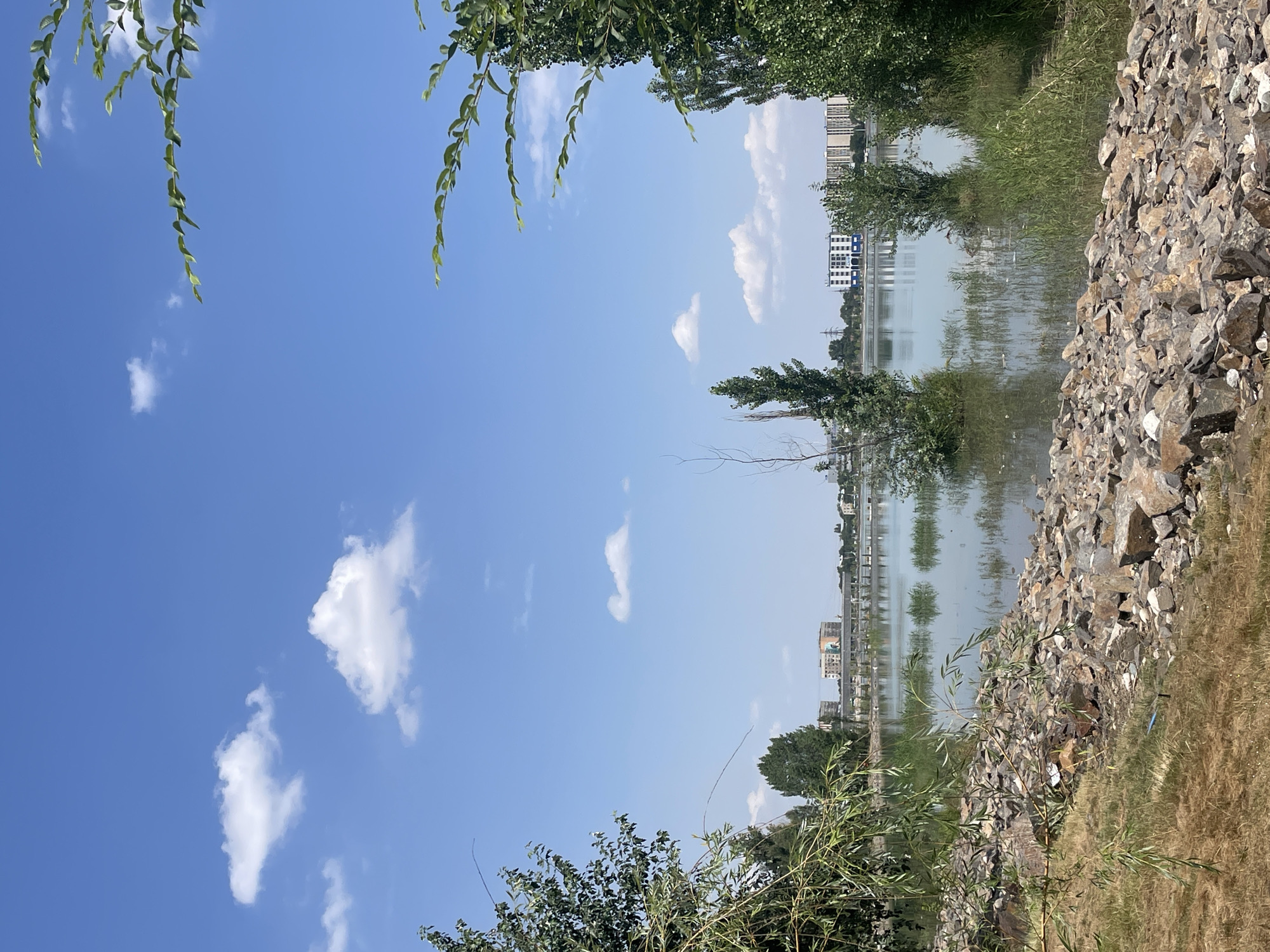 This image depicts a natural scene with urban elements in Almaty, Kazakhstan. The foreground is dominated by a rocky shoreline covered in dry grass. Beyond the shoreline lies a body of water, likely a reservoir or lake, with several trees partially submerged in it. The middle ground features a calm body of water reflecting the clear blue sky and scattered white clouds. A few tall, thin trees stand in the water, and some reeds grow along its edges. In the distance, the Almaty skyline is visible, with several multi-story buildings and a bridge spanning across the water. The overall environment suggests a park or recreational area within or on the outskirts of the city. There are no people or animals visible in the scene.