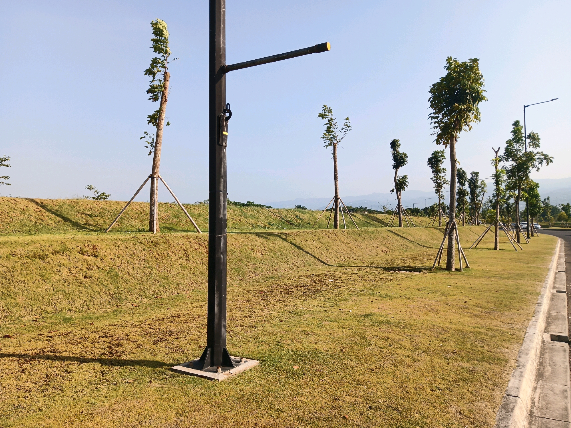 The image depicts a landscaped area with a clear blue sky. In the foreground, a black lamppost with a yellow light fixture stands on a concrete base. To the left of the lamppost, a grassy slope rises and then descends, forming a contoured embankment. Several young trees, supported by wooden stakes, are planted along the slope and in the foreground, many of them appearing to be recently planted. The grass is dry and yellowish-brown in some areas, suggesting a dry season or lack of recent watering. A paved road with a concrete curb runs along the right side of the image, and a white car is visible in the distance on this road. The overall environment appears to be a park or a public space undergoing development or maintenance. This scene is likely located in Bandung City, Indonesia, given the context.