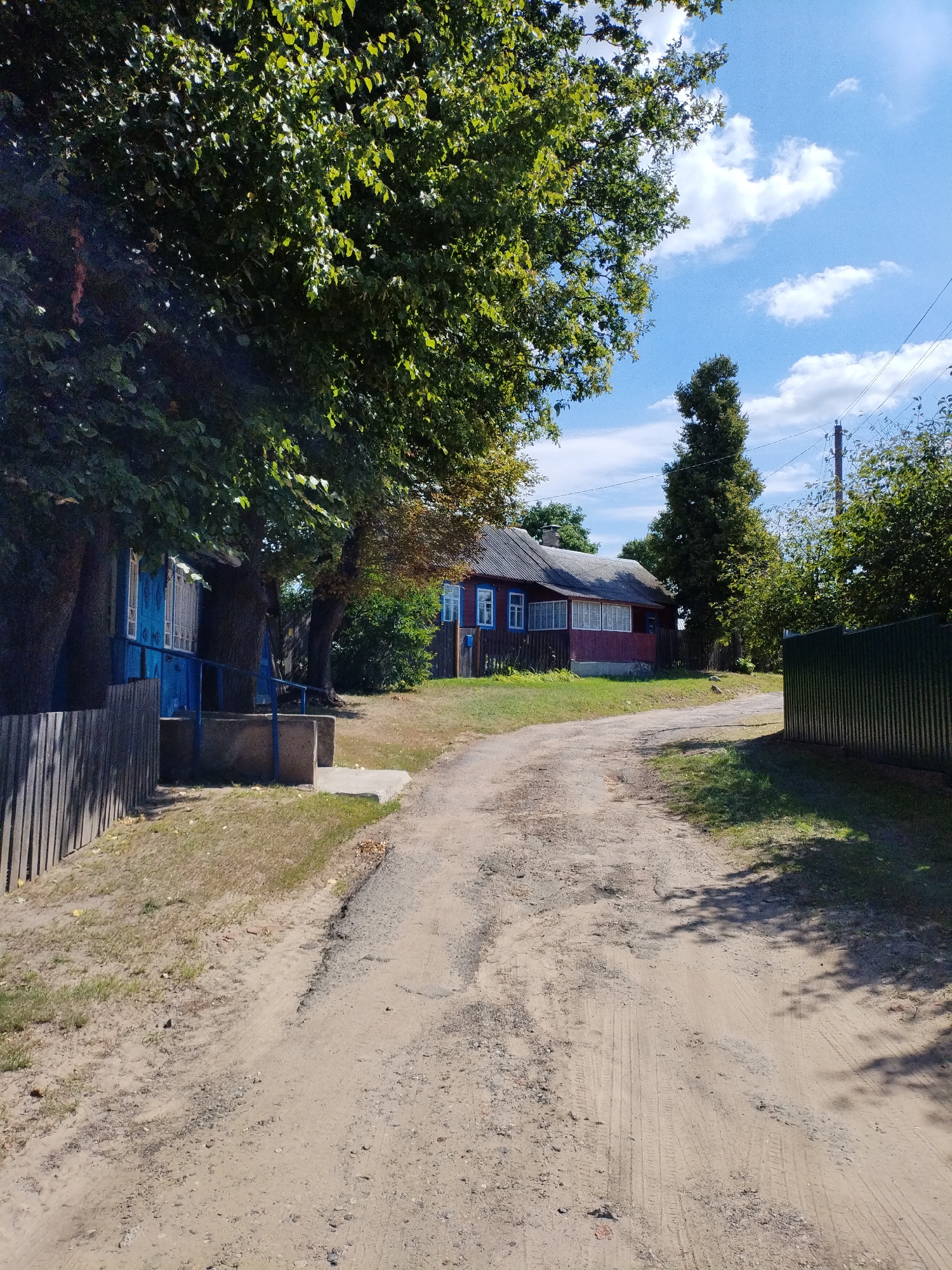 The image depicts a dirt road in a rural setting, likely in the city of Bialynichy, Belarus. On the left side of the road, there is a blue wooden house with white trim around the windows and a wooden fence. The house appears to be old and weathered. Further down the road, on the right side, is a red house with white-trimmed windows and a grey roof. This house also seems to be of traditional rural architecture.
The road itself is unpaved, with tire tracks and some areas of disrepair. It is lined with green grass and scattered trees, with dense foliage dominating the left side of the image and a tall evergreen tree on the right. In the background, power lines and poles are visible, suggesting the presence of electricity. The sky is blue with scattered white clouds, indicating a sunny day. The overall impression is one of a quiet, rural landscape, perhaps a village or a small settlement. There are no people visible in the image.