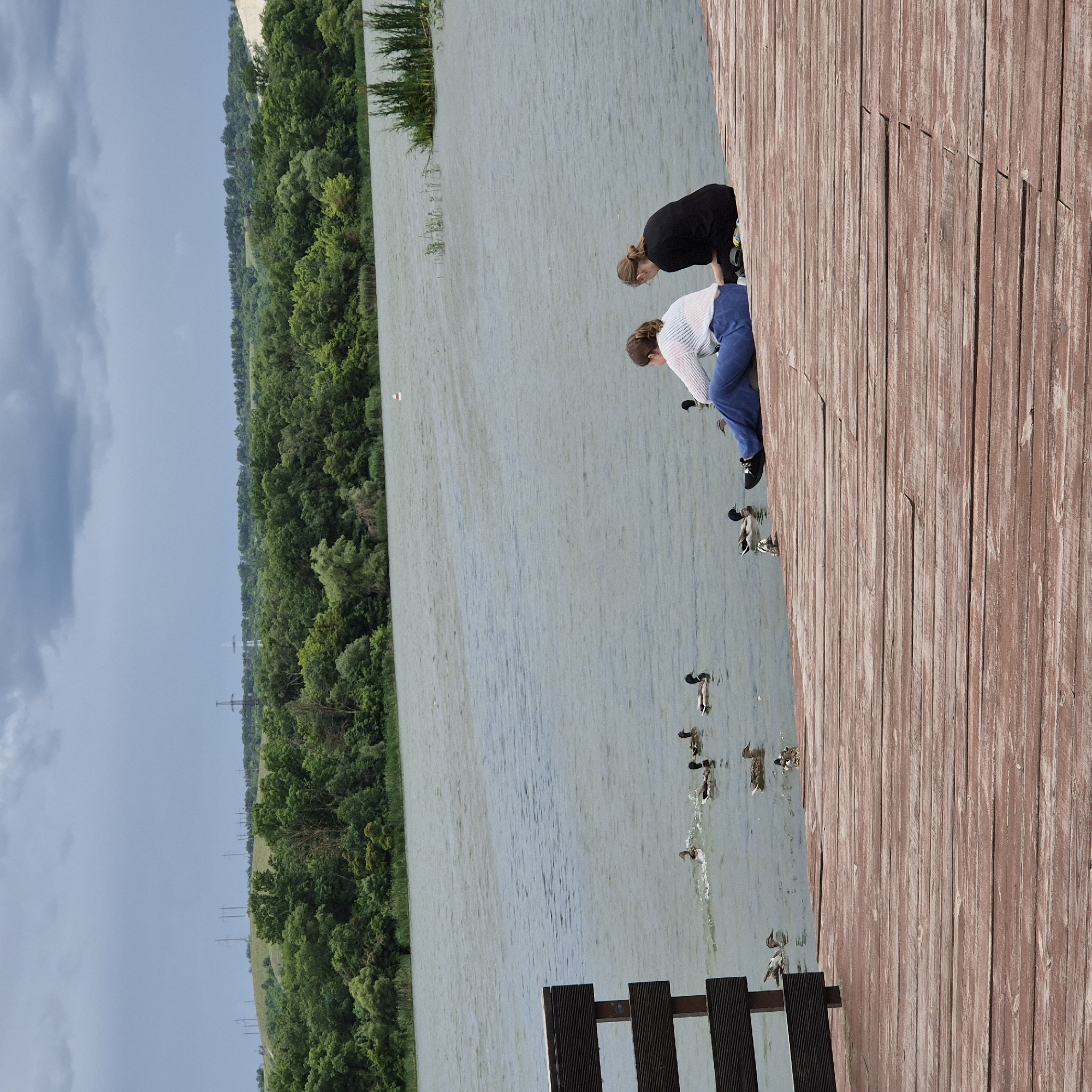The image depicts a serene outdoor scene at a lake, potentially in the city of Liski, Russia, given the provided context. In the foreground, two young women are seated on a wooden pier, facing the water. The woman on the left wears a white open-knit top and blue trousers, while the woman on the right is dressed in a black top and dark trousers. They appear to be relaxed and engaged in observing the environment.
The lake occupies the mid-ground, with several ducks swimming and paddling on its surface. The water is calm, reflecting the overcast sky above. The shoreline in the background is densely lined with lush green trees, suggesting a natural or park-like setting. Beyond the treeline, rolling hills are visible, dotted with power lines and transmission towers, indicating a semi-rural or transitional landscape. The sky is filled with heavy, grey clouds, hinting at impending rain or a continuation of a cloudy day. The wooden pier is constructed of weathered planks, adding a rustic texture to the scene. A dark wooden railing is partially visible on the left side of the pier.