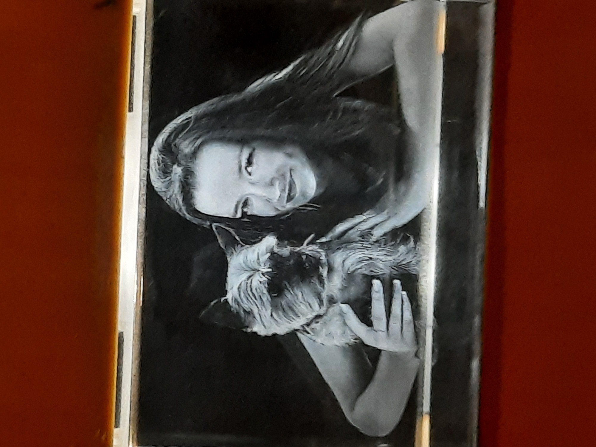 The image is a black and white portrait of a woman and a small dog. The woman has long, dark hair and is smiling. She is holding the dog in her arms. The dog is a scruffy terrier breed. The background is dark and out of focus, making the subjects stand out. The portrait is framed by what appears to be a wooden border, and the entire image is set against a dark red, textured background. The lighting suggests it might be an artificial light source illuminating the subjects from the front. There is no visible indication of the city of Rosenheim, Germany, within the image itself.