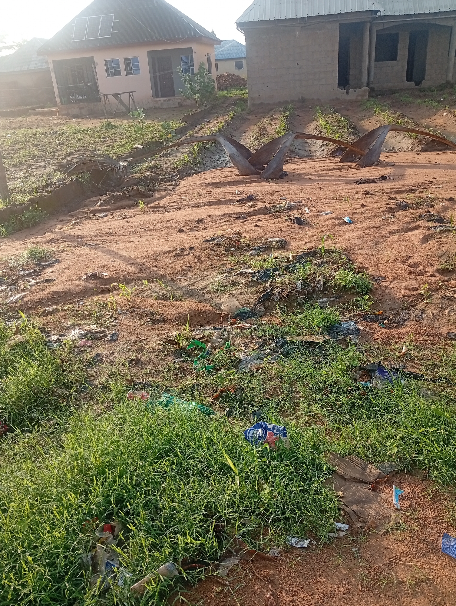 The image depicts an outdoor scene in Jalingo, Nigeria, characterized by a reddish-brown dirt ground with patches of green grass. In the background, two unfinished or partially constructed buildings are visible. The building on the left is a single-story structure with a corrugated metal roof and what appear to be solar panels. It has windows and a doorway. The building on the right is constructed with concrete blocks and has open doorways and windows.
In the foreground and mid-ground, the area is strewn with visible debris, including plastic bags, bottles, and other refuse, particularly concentrated in the grassy areas and on the dirt ground. Two large, dried palm fronds are prominently placed on the dirt ground, curving upwards. The overall environment suggests an undeveloped or neglected area with evidence of construction and littering. The lighting indicates it is either early morning or late afternoon.
