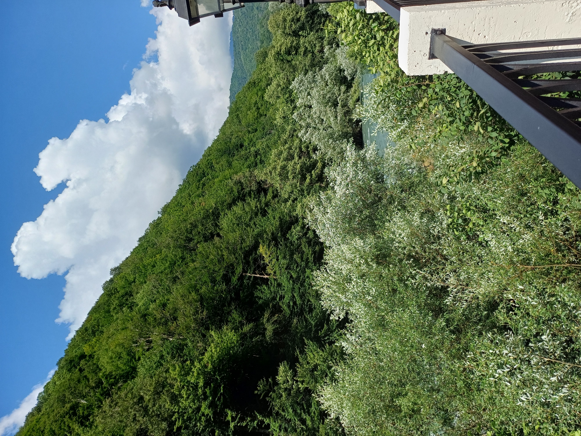 The image captures a scenic view of the Mzymta River in Estosadok, Russia, on a clear day. A lush, green mountainside, densely covered with trees, dominates the left side of the frame, sloping downwards towards the river. The Mzymta River, with its turquoise waters, flows through the middle ground, bordered by various types of vegetation. In the foreground, a black metal railing is visible, suggesting a vantage point like a bridge or promenade. To the far right, a black lamppost with a decorative top is partially visible, mounted on a light-colored concrete pillar. The sky above is a vibrant blue, punctuated by large, fluffy white clouds, particularly on the right side of the frame. The overall scene is one of natural beauty and tranquility.