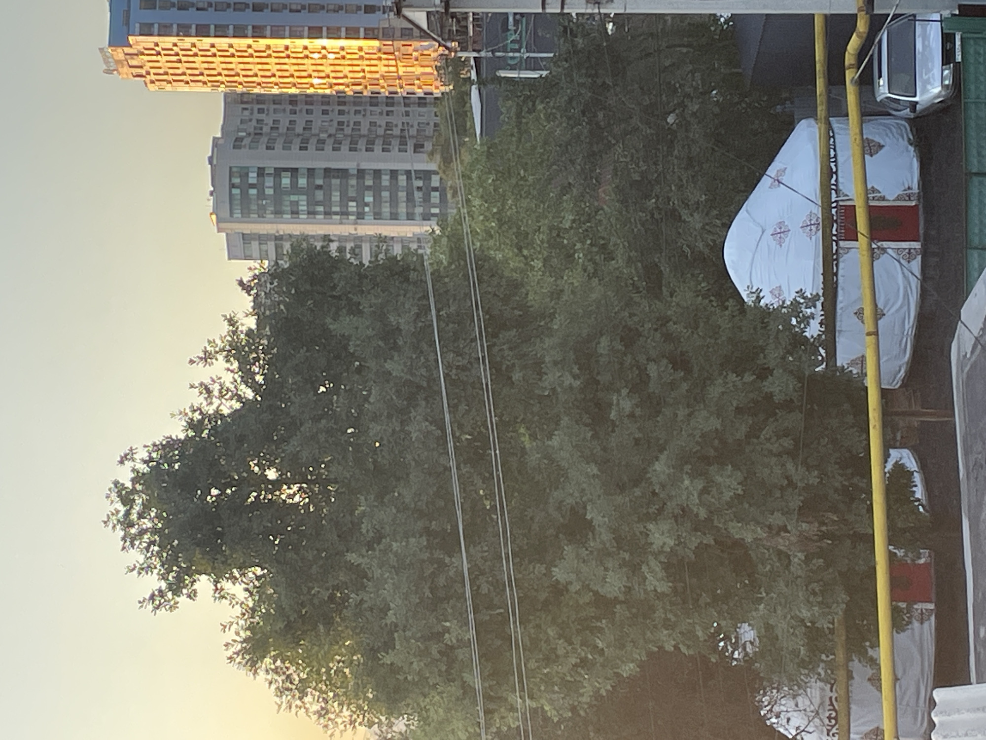 The image captures a scene in Almaty, Kazakhstan, likely during a sunset or sunrise given the warm lighting on the buildings. In the foreground, a white yurt with red and gold decorative patterns is visible. It has a red door and is partially obscured by a large, leafy green tree. A yellow railing runs in front of the yurt, and a silver car is parked to the right of it. In the background, several modern high-rise buildings stand, one of which is illuminated by the golden light. Power lines are strung across the midground, partially obscuring the trees and buildings. The sky is a pale yellow-orange, indicating a time of day with low sun angle.
