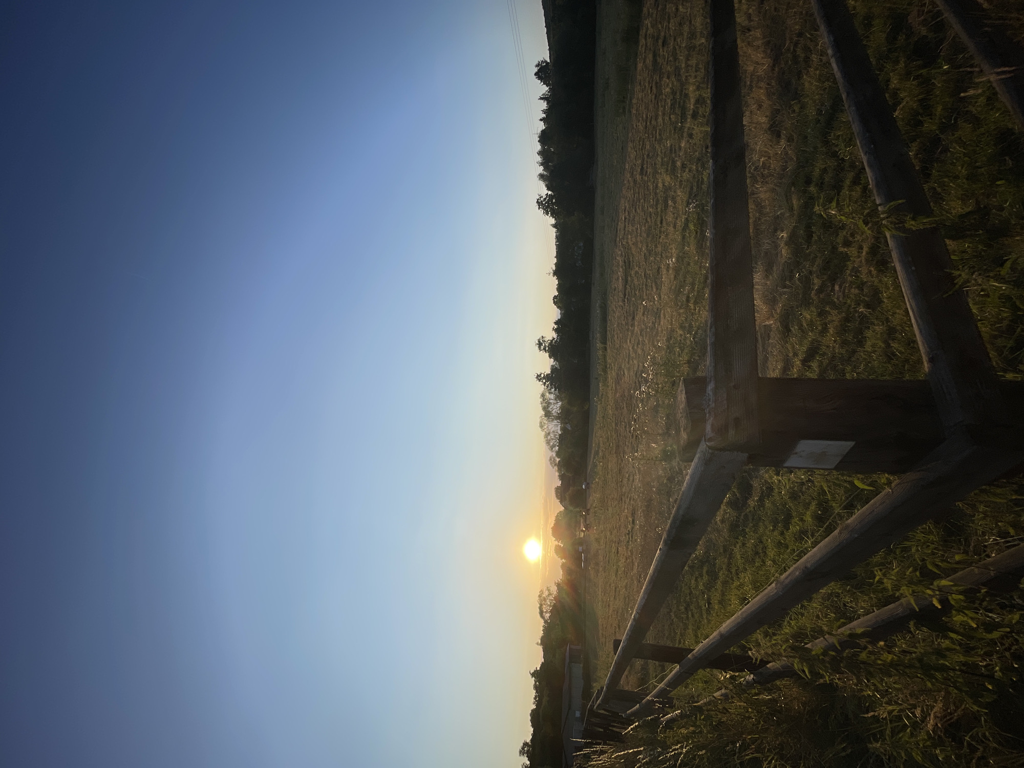 The image shows a serene rural landscape at sunrise, likely in the vicinity of Rückershausen, Germany. The foreground is dominated by a rustic wooden fence, its weathered planks casting long shadows across the dewy, golden-hued grass of a field. Beyond the fence, the field stretches towards a treeline, with a few structures, possibly farm buildings, visible to the left. The sun, a bright orb of light, is low on the horizon, casting a warm glow and lens flare across the scene. The sky transitions from a pale yellow near the horizon to a clear, deep blue overhead. There are no people or animals clearly visible in the frame.