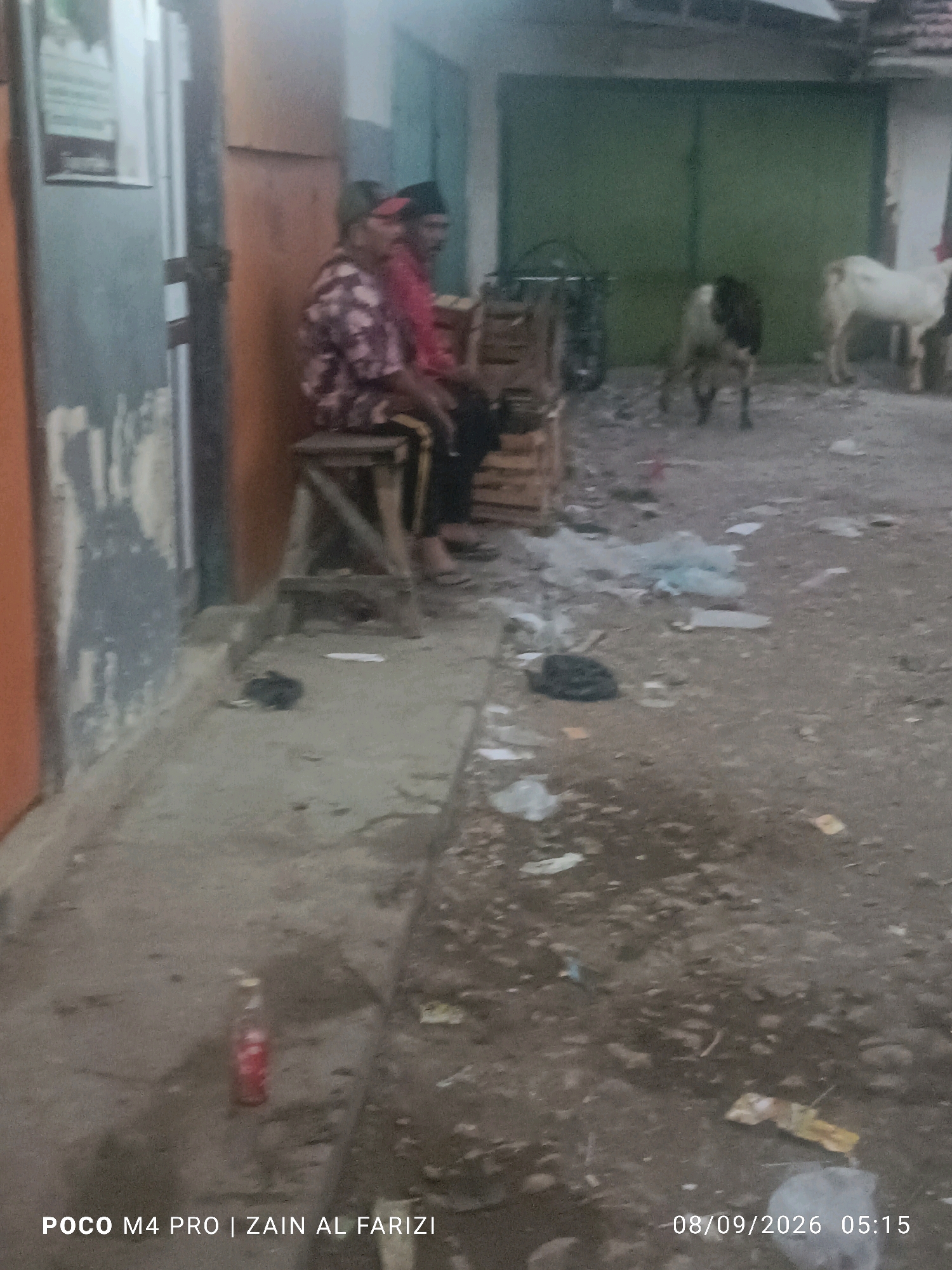 The image depicts an outdoor scene in what appears to be a rural or semi-urban area, possibly a street or alleyway. Two individuals, one wearing a patterned shirt and the other a pink shirt, are seated on a wooden stool in front of a building with a muted green door or wall. The ground is covered with dirt and scattered debris, including plastic bags and paper. In the background, two goats are visible; one is light-colored and standing, while the other is darker and appears to be standing or grazing. A bicycle is also present in the background, leaning against the wall. A red bottle is visible on the ground in the foreground. The overall lighting suggests it is either early morning or late evening, as indicated by the timestamp "08/09/2026 05:15". The text overlay "POCO M4 PRO | ZAIN AL FARIZI" suggests the image was taken with a Poco M4 Pro phone by someone named Zain Al Farizi. The scene is unkempt and appears to be a commonplace setting, not a staged or formal environment.