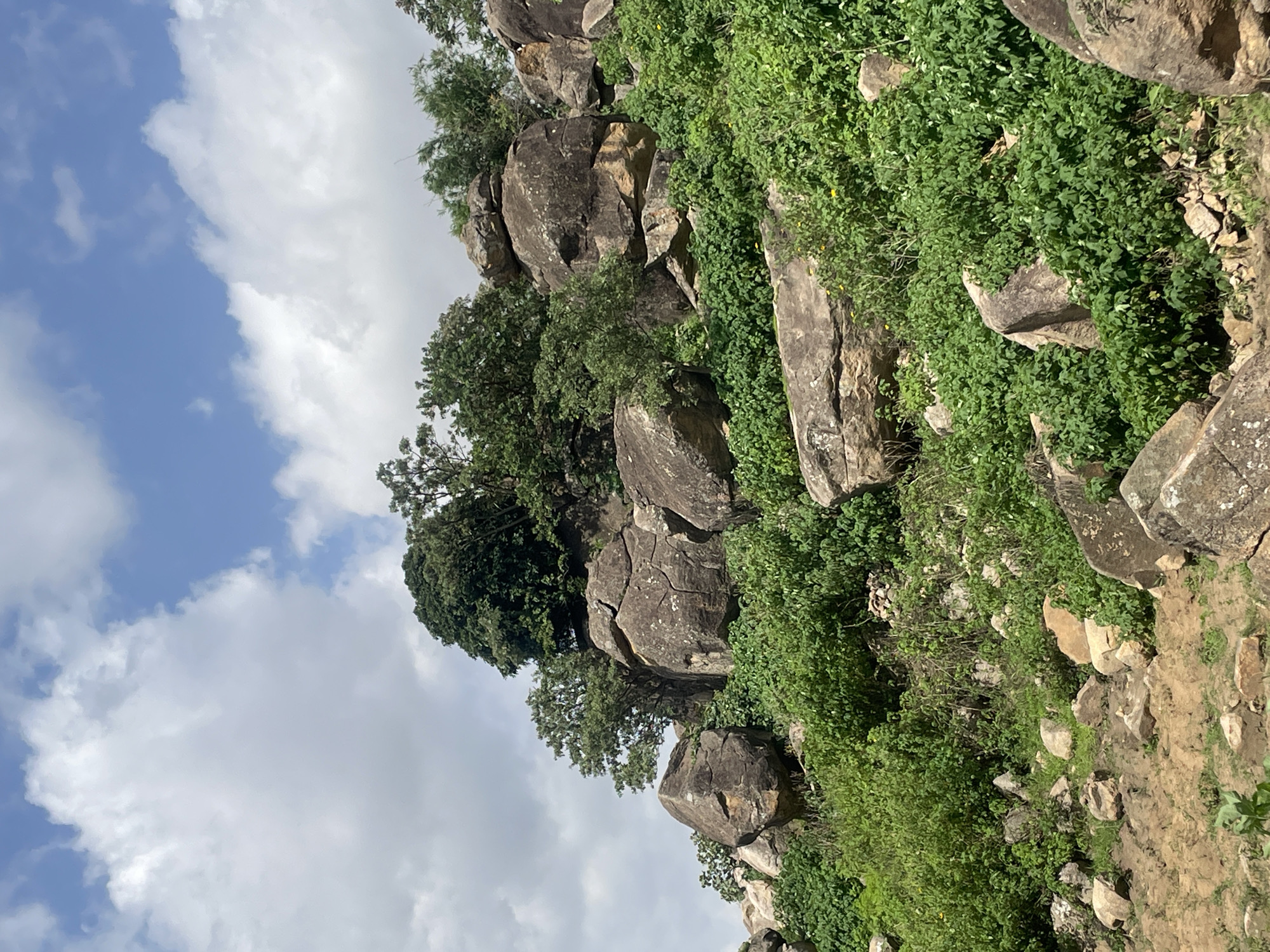 The image depicts a rocky hillside covered in lush green vegetation and large boulders. The sky above is a mix of blue sky and white clouds. Trees with dark green foliage are scattered amongst the rocks and on the higher parts of the hill. The terrain appears rugged and uneven, with a dirt path visible in the lower left quadrant of the image. The overall impression is of a natural, undeveloped landscape.