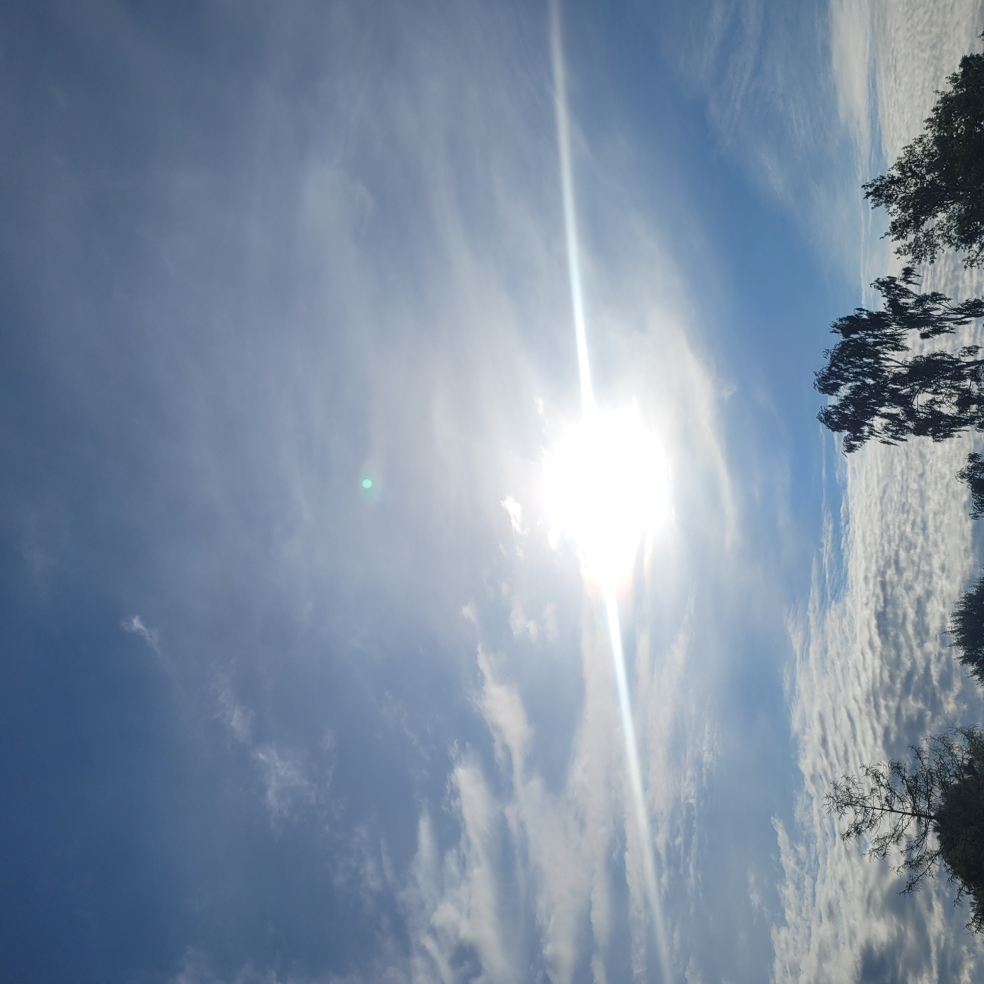 The image depicts a bright sky with scattered clouds and the sun prominently featured. The sun appears as a brilliant, almost white light source, casting a strong glare and a visible light streak across the frame. The sky is a clear blue in some areas, transitioning to lighter shades where the clouds are present. The clouds vary in texture, from wispy and thin to more textured and layered. The lower portion of the image shows the silhouettes of trees against the sky, with some appearing as dark, bare branches and others with fuller foliage. There are no people or visible structures in the image. The scene is likely an outdoor landscape, potentially capturing a moment during the day with intense sunlight. The location information provided, Jūrmala, Latvia, suggests a coastal or natural setting.
