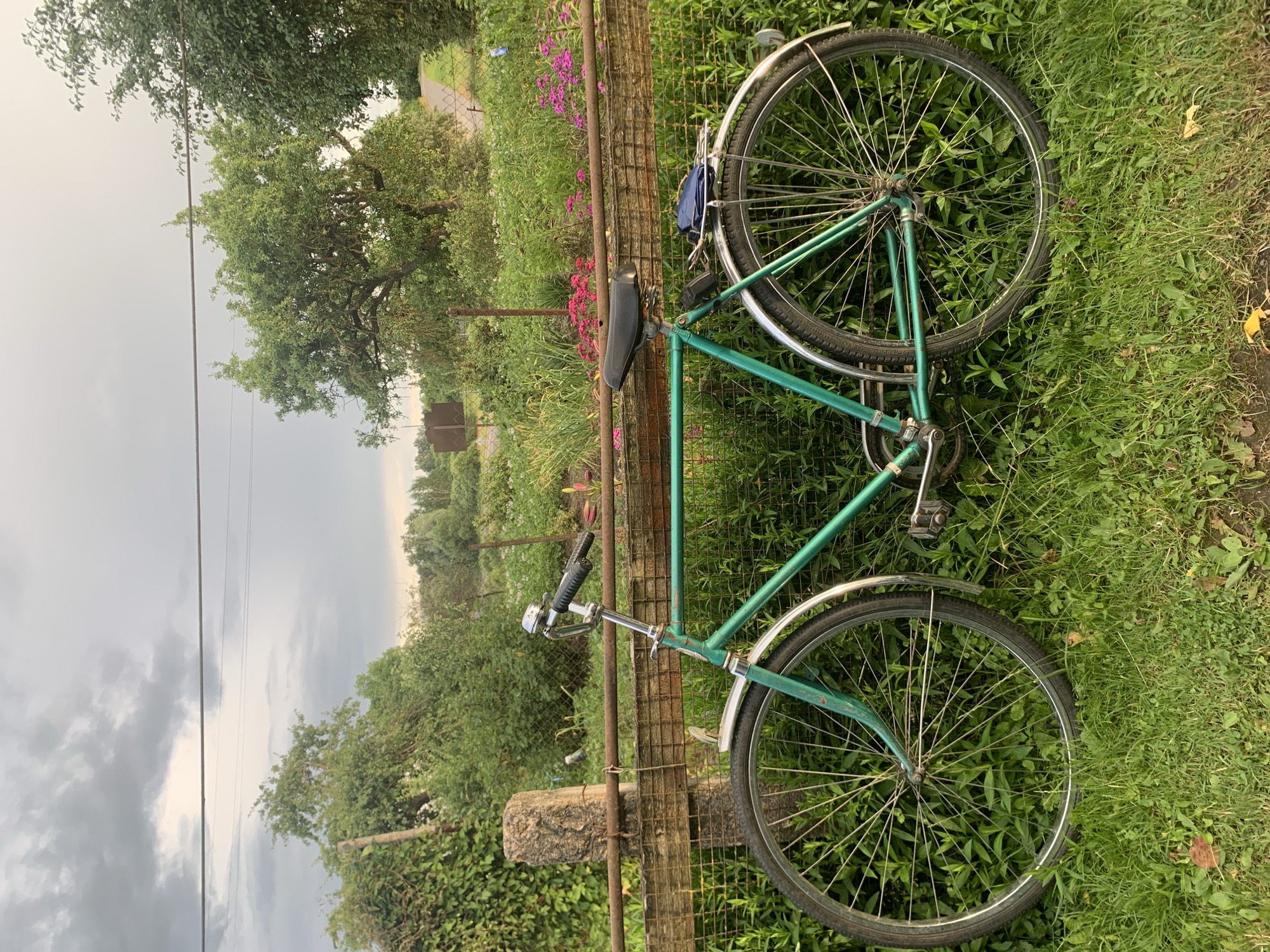 A vintage green bicycle is propped against a rustic wooden fence in a grassy, rural setting. The bicycle is facing left, with its front wheel slightly turned. It has a bell on the handlebars, a black seat, and a rear rack with a folded blue item. The background consists of lush green foliage, flowering plants, and trees. In the distance, a dirt road can be seen. The sky is overcast with dramatic clouds. The scene appears to be a quiet, natural area, possibly a garden or yard in the village of Vidzy, Vidzy rural council, Belarus. There are no people visible in the image.
